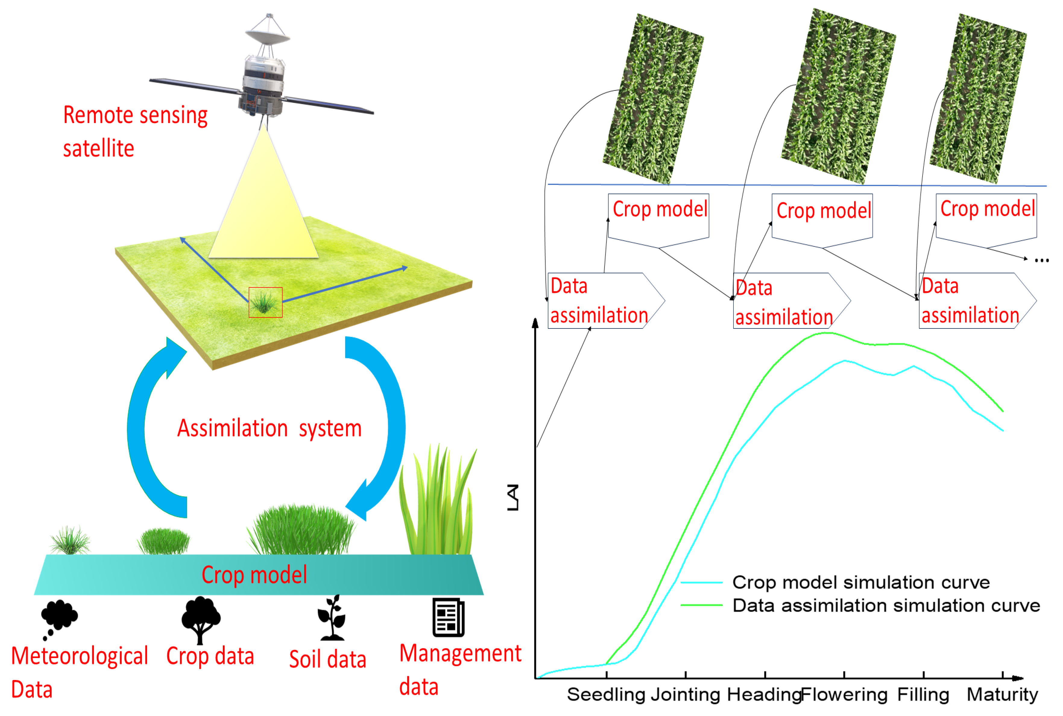 Agronomy 14 01920 g004 Agronomy 14 01920 g004