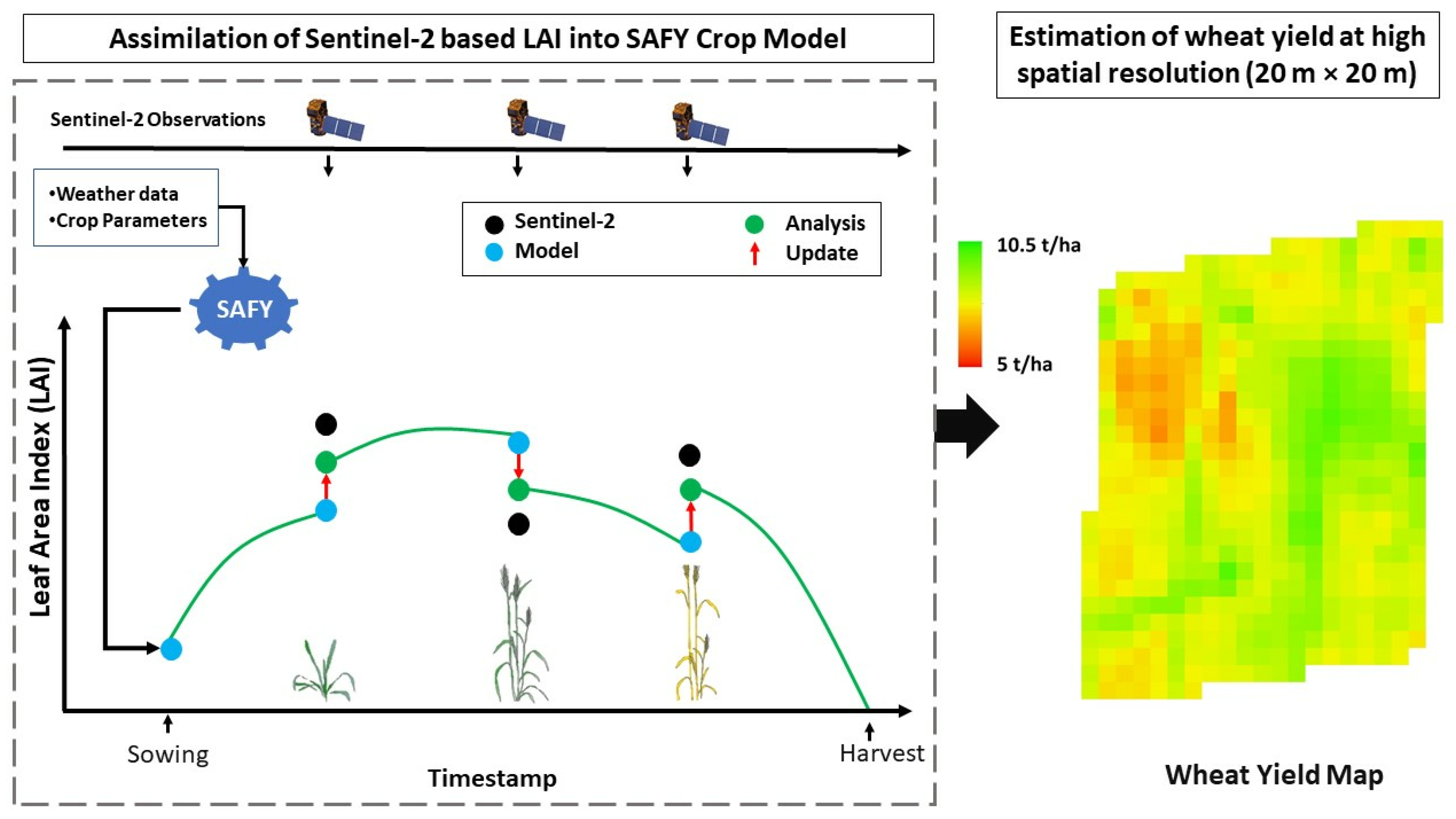 Agronomy 14 01920 g008 Agronomy 14 01920 g008