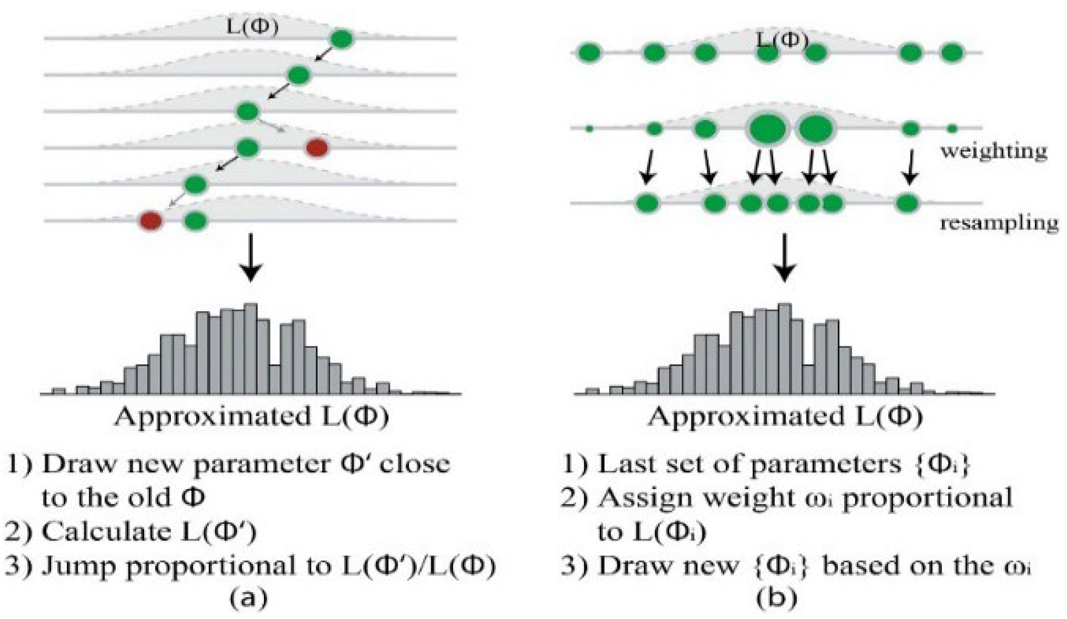 Agronomy 14 01920 g010 Agronomy 14 01920 g010