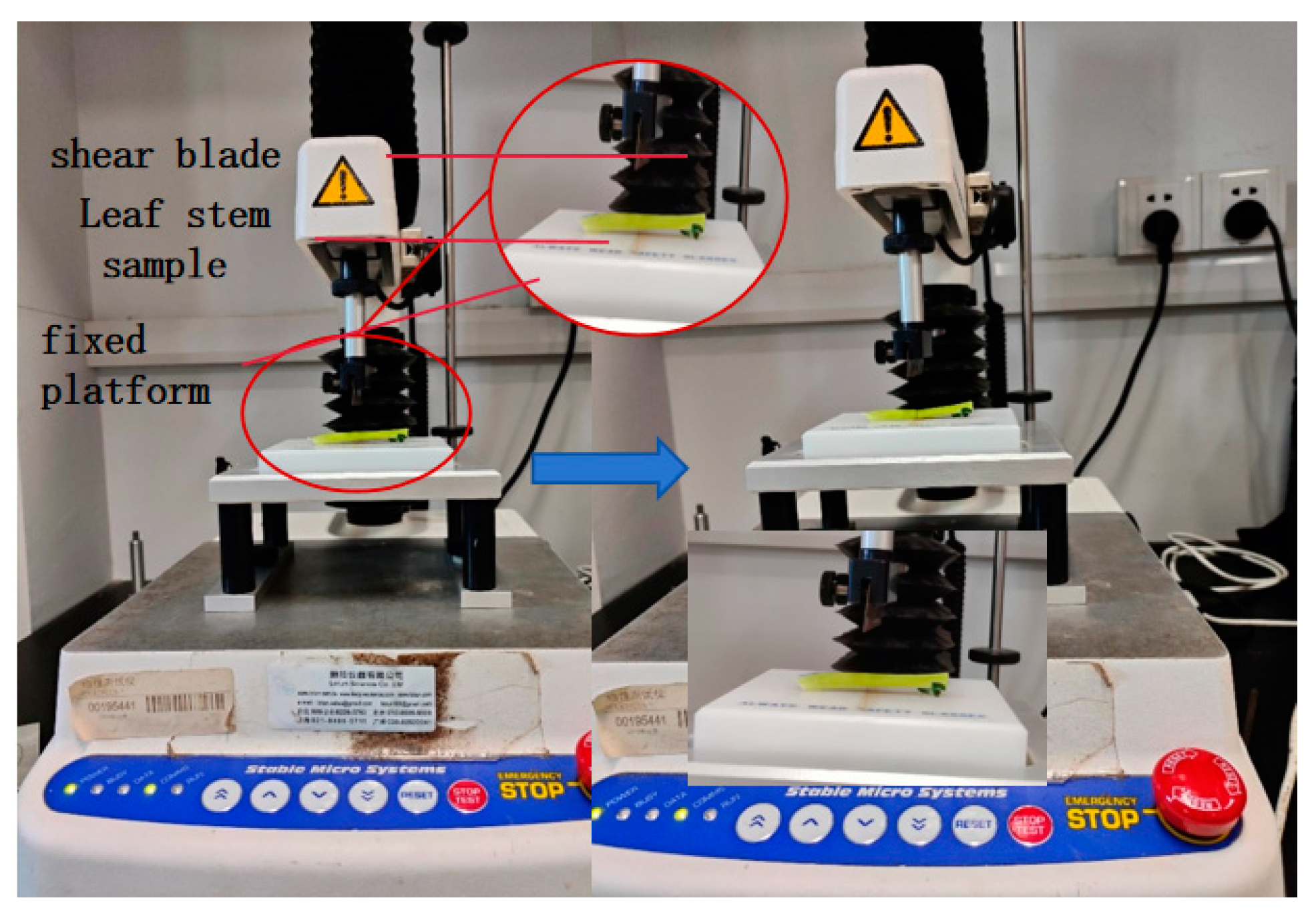 Agronomy 14 01925 g014