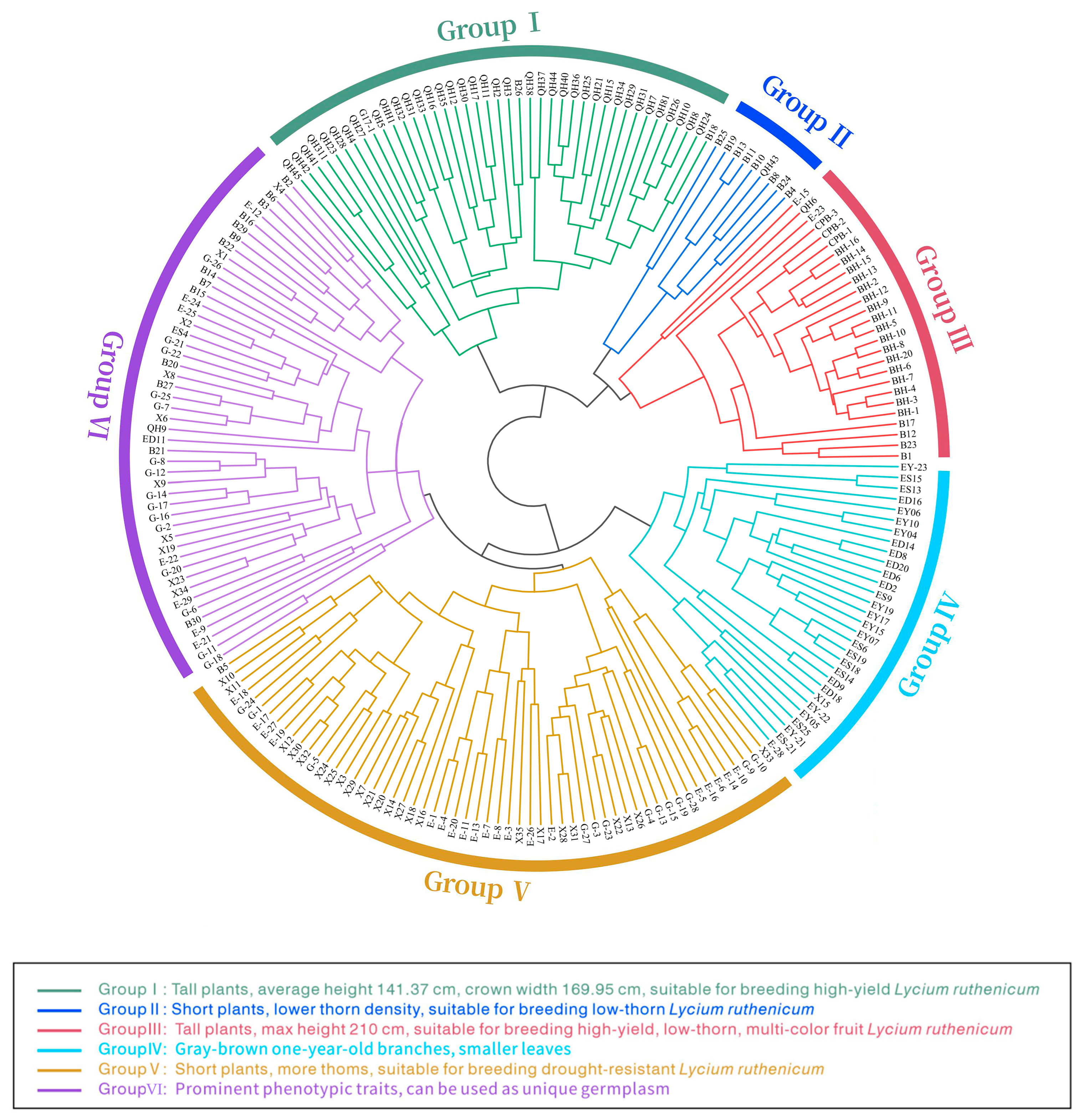 Agronomy 14 01930 g004