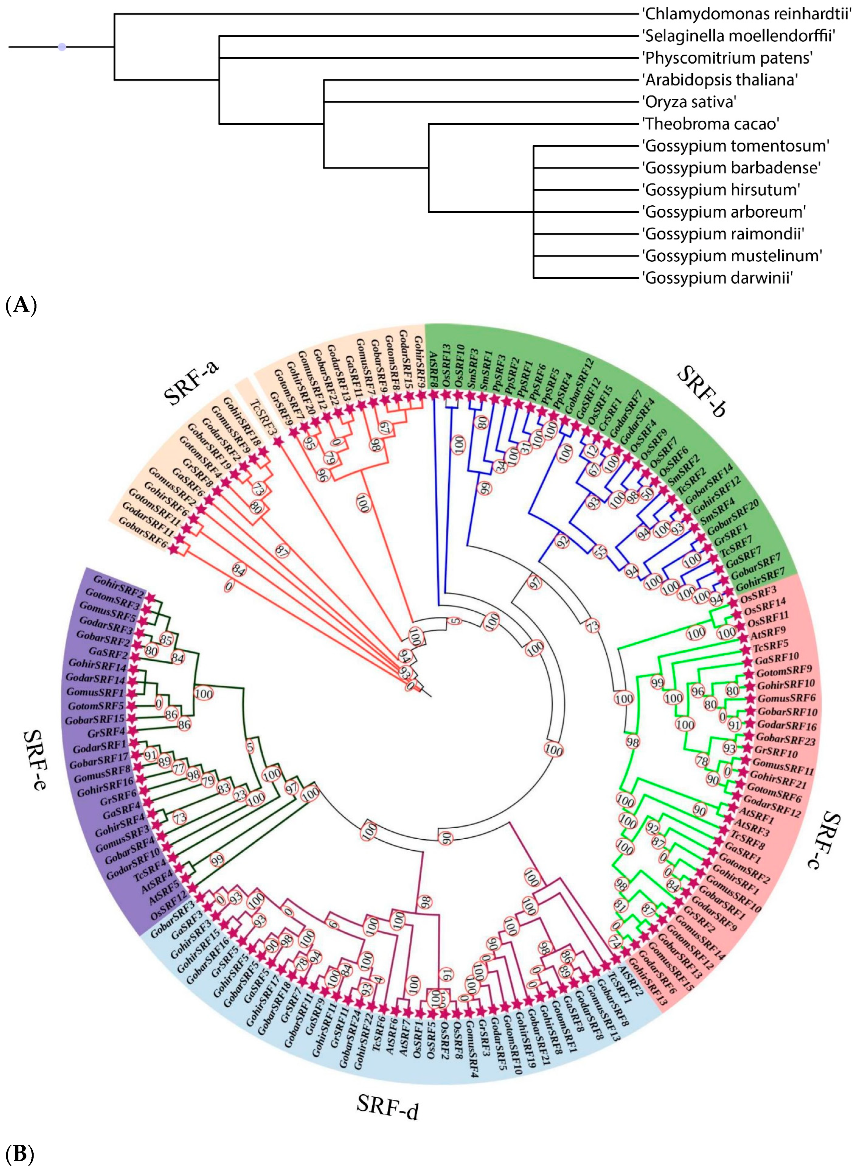 Agronomy 14 01933 g001 Agronomy 14 01933 g001