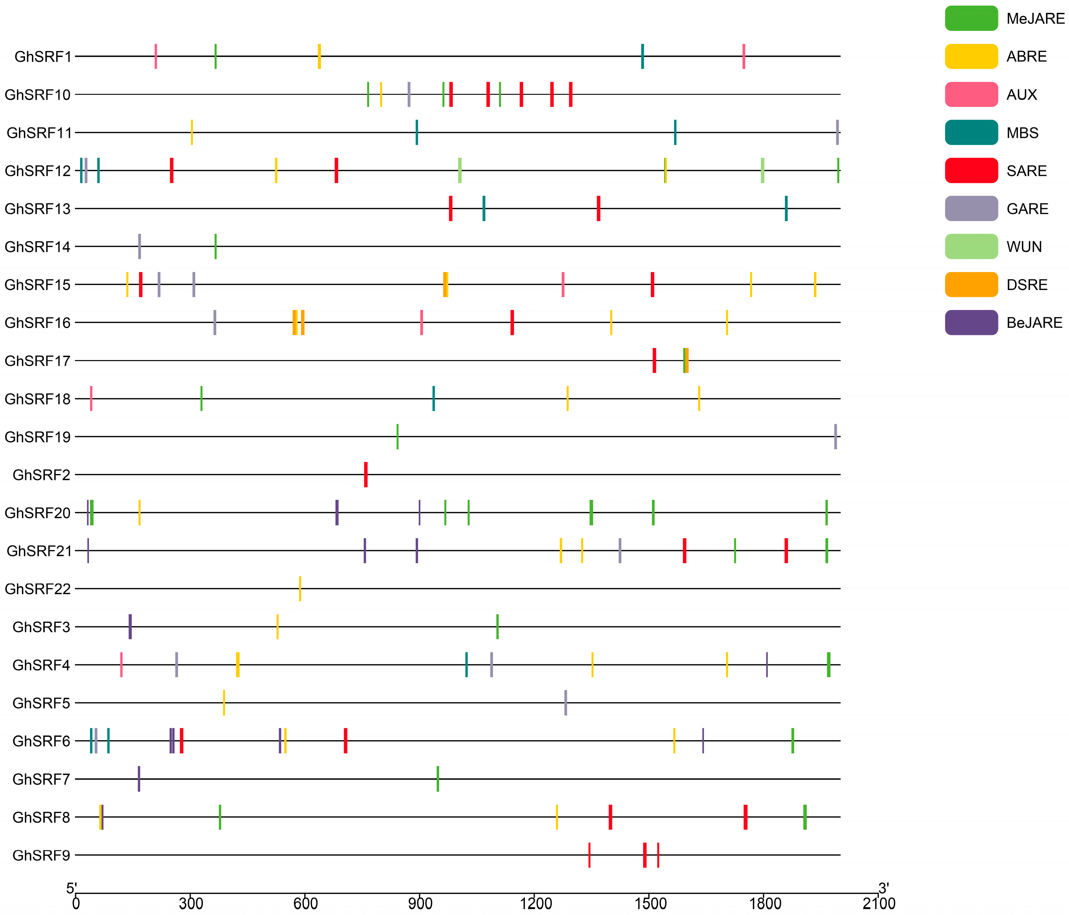 Agronomy 14 01933 g003 Agronomy 14 01933 g003