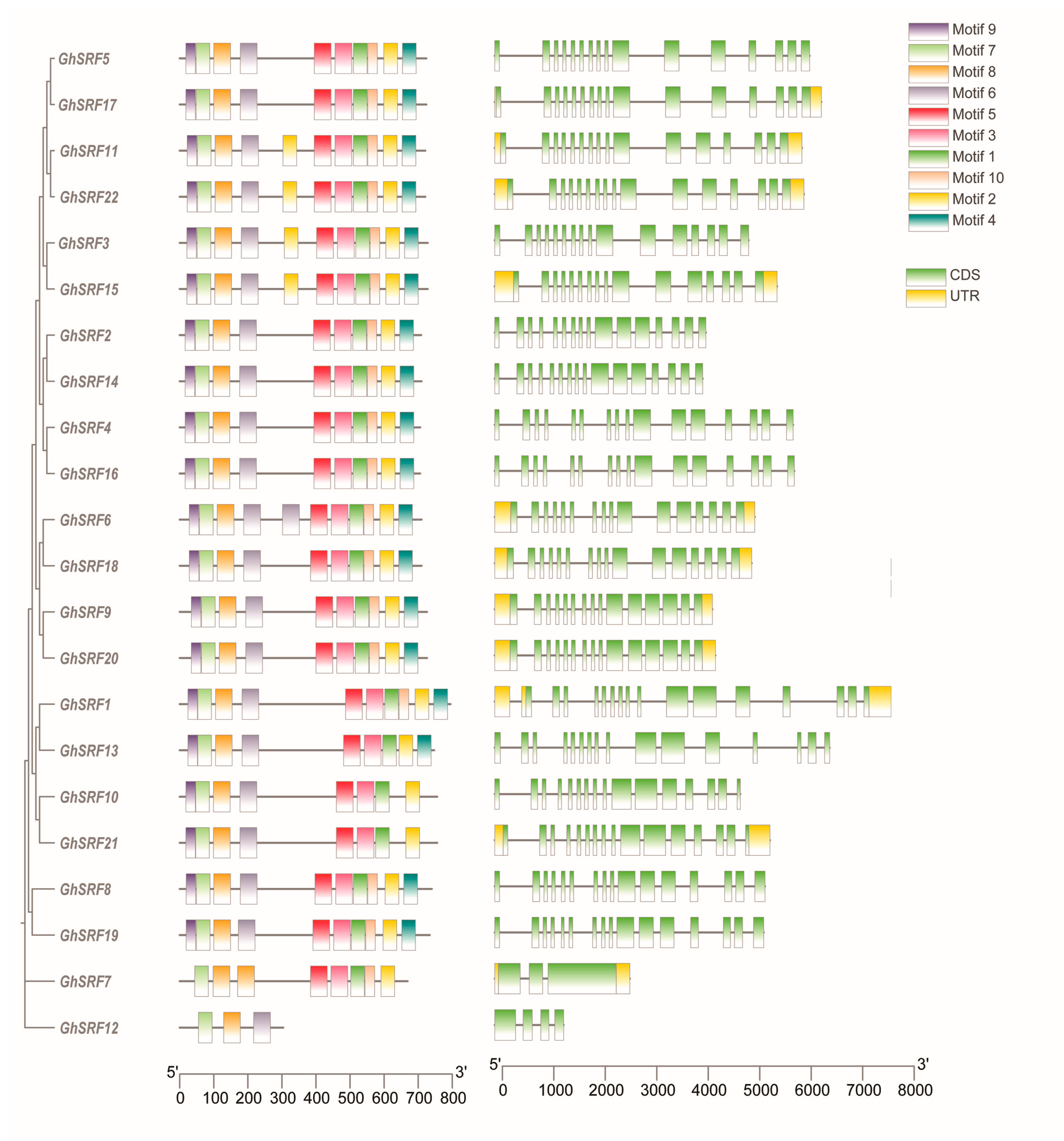 Agronomy 14 01933 g004 Agronomy 14 01933 g004