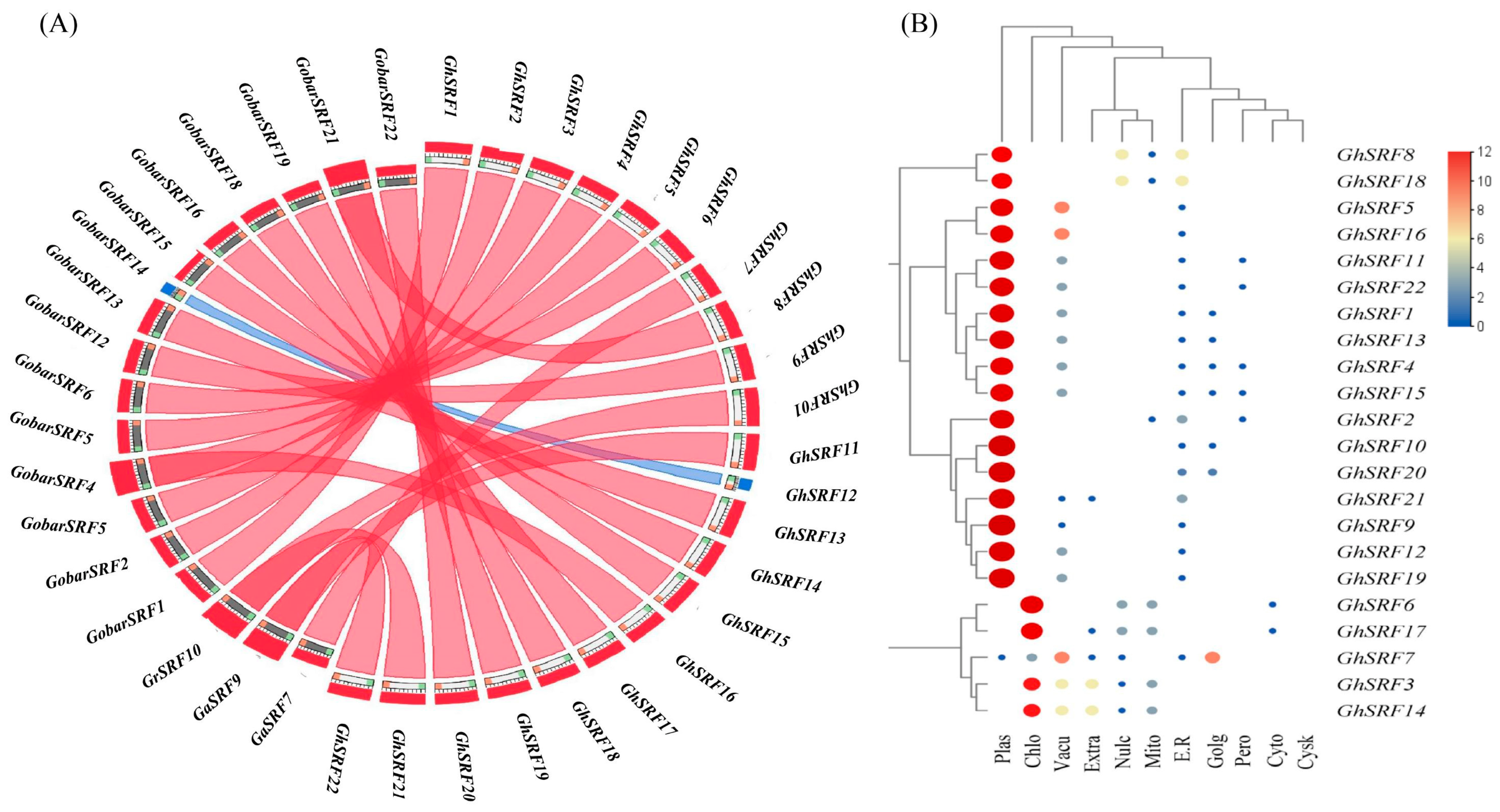 Agronomy 14 01933 g006 Agronomy 14 01933 g006