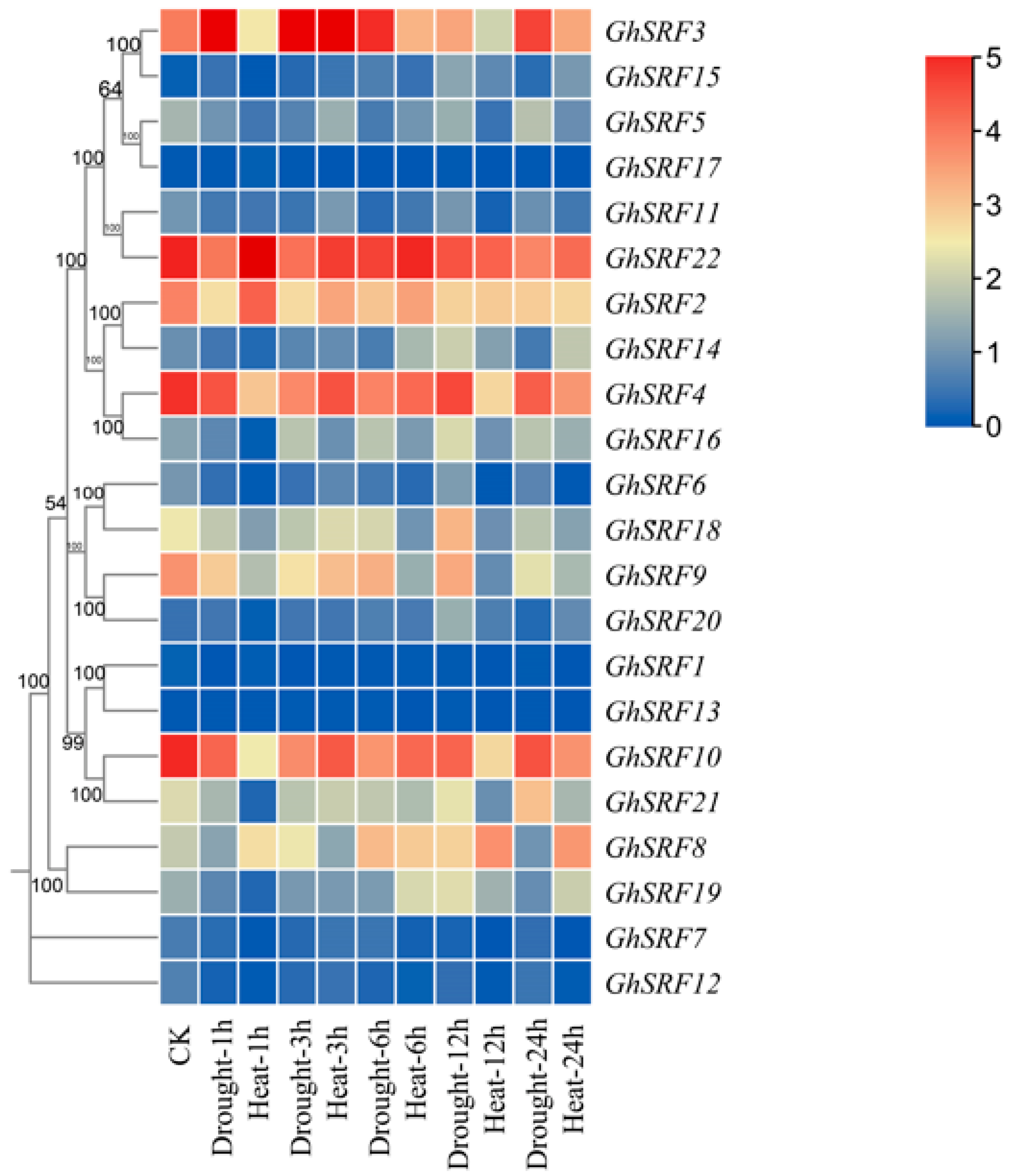 Agronomy 14 01933 g007 Agronomy 14 01933 g007