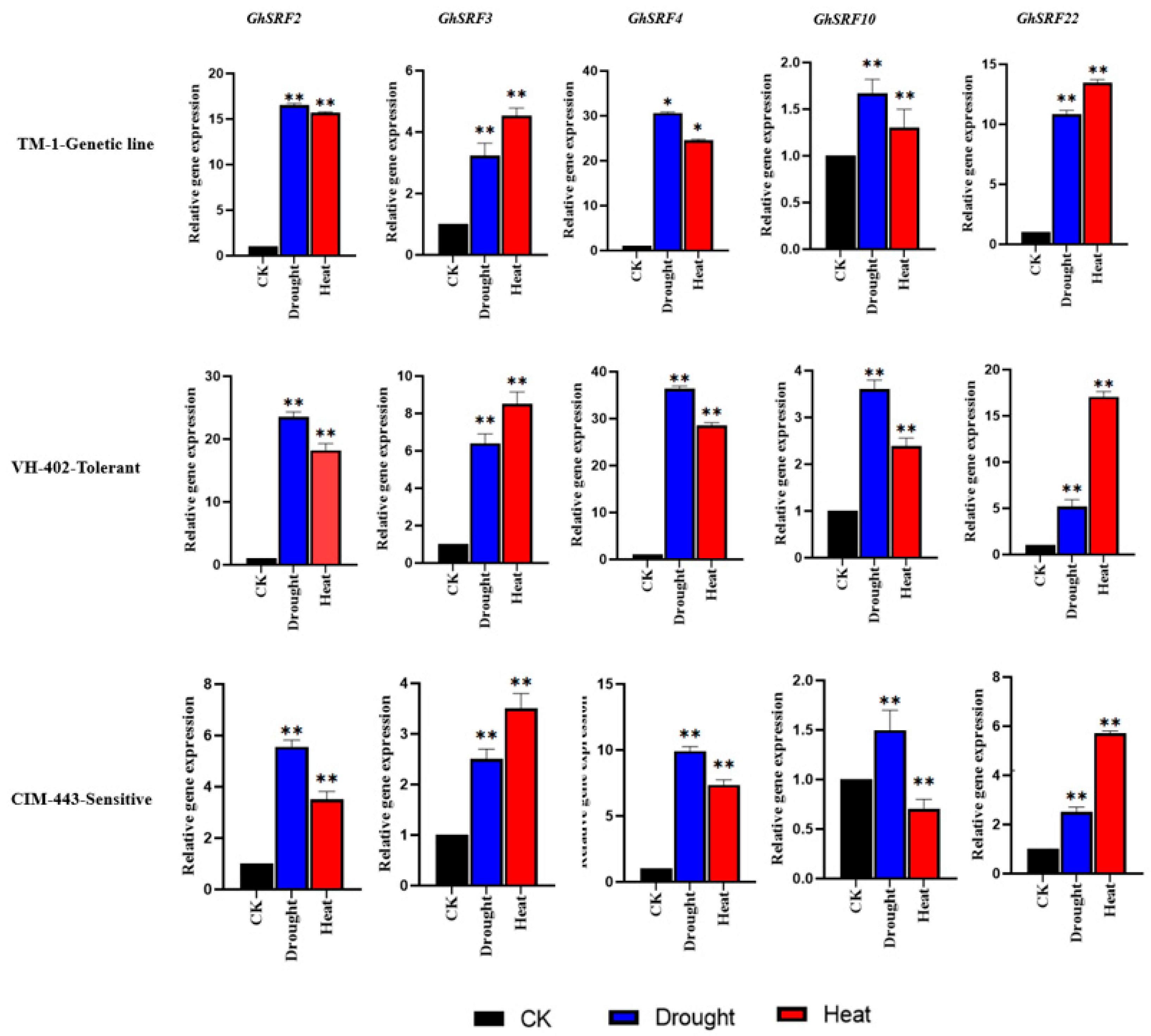 Agronomy 14 01933 g008 Agronomy 14 01933 g008
