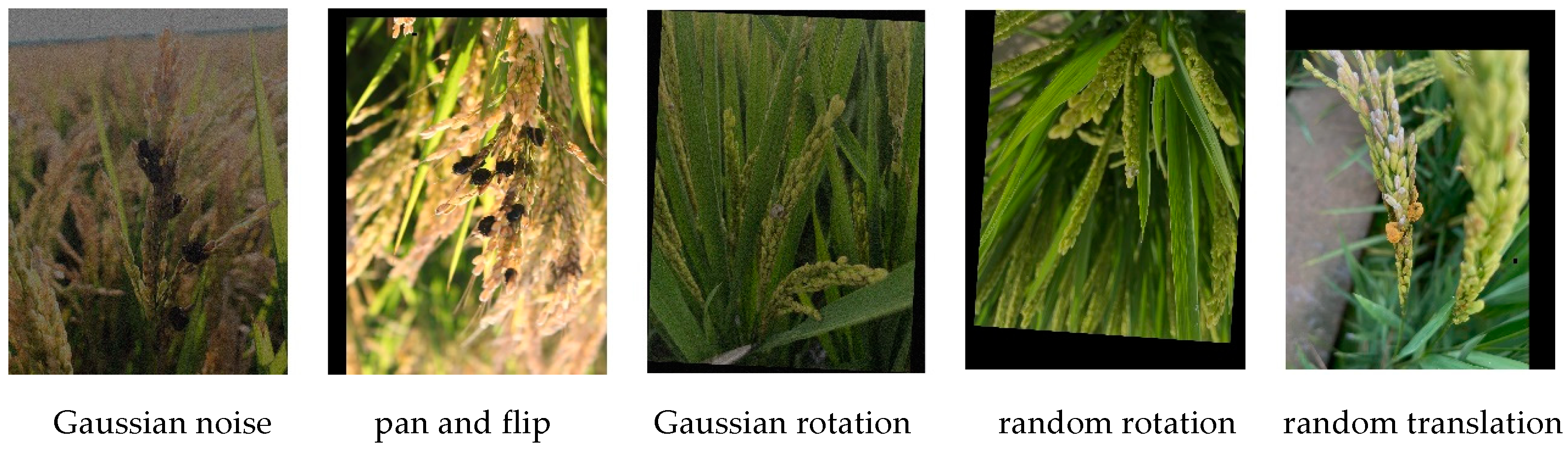 Agronomy 14 01934 g003