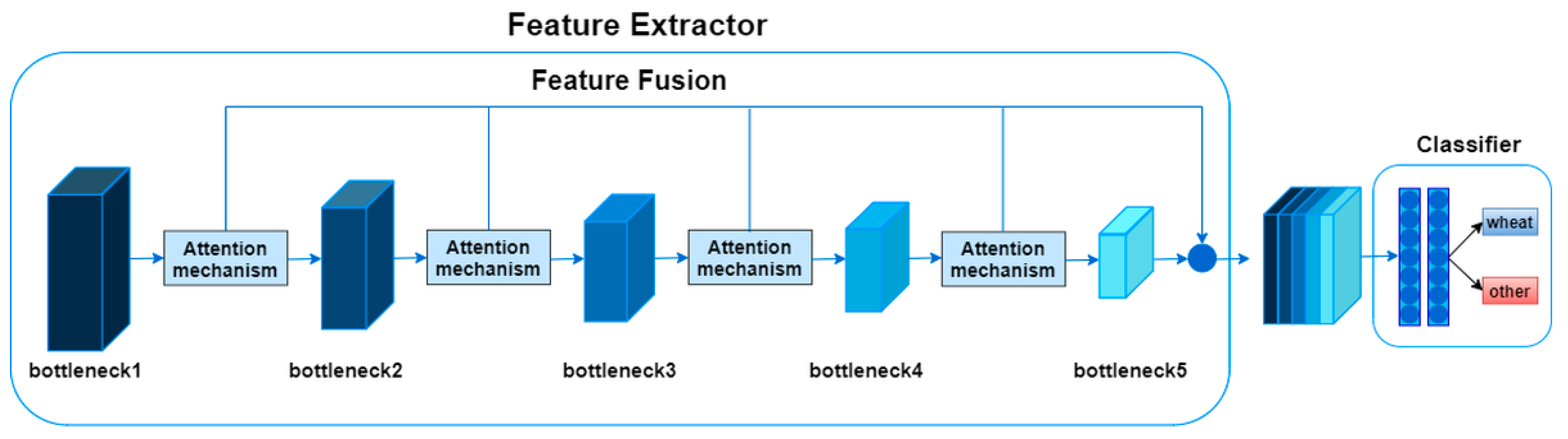 Agronomy 14 01936 g005