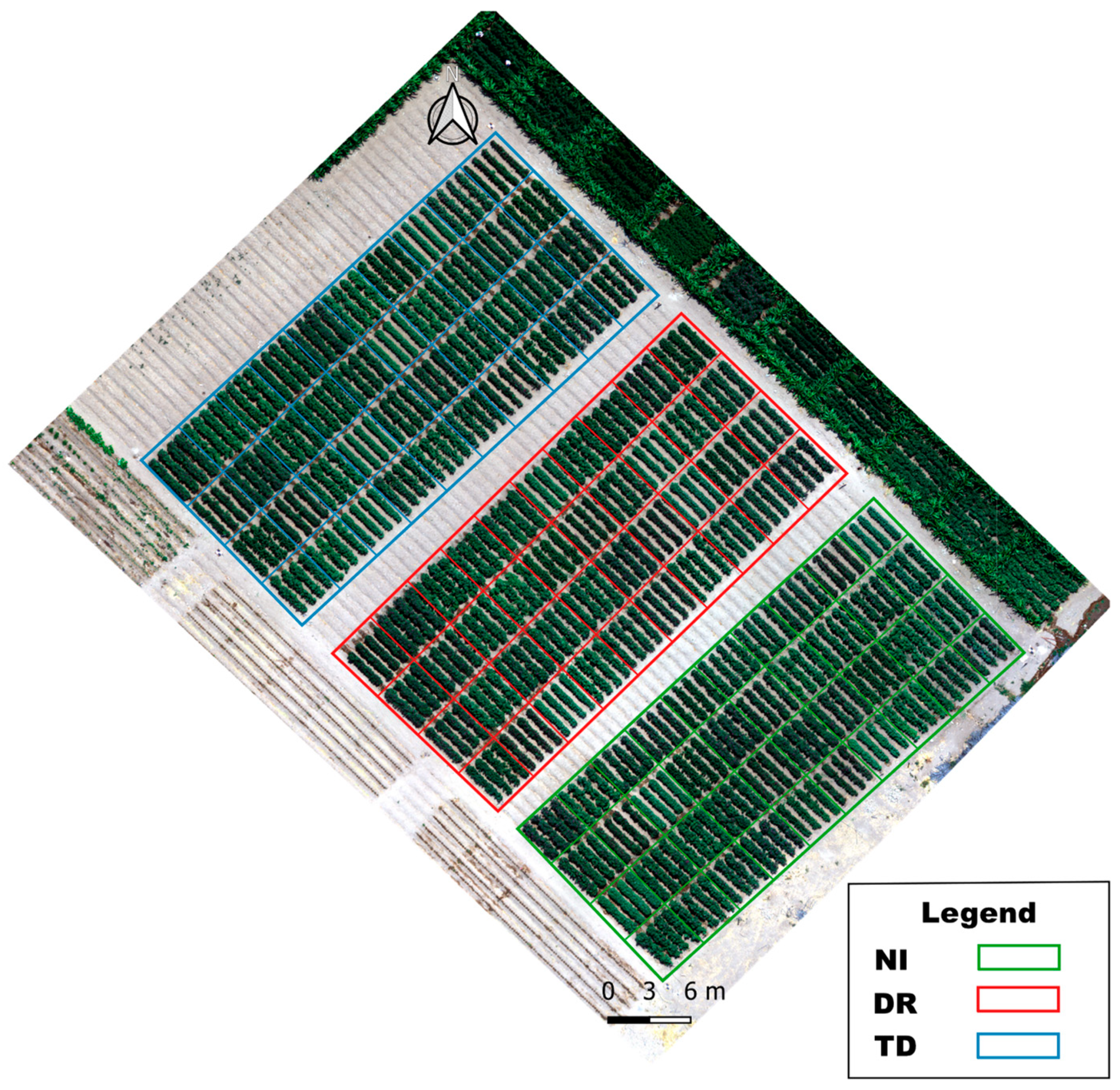 Agronomy 14 01938 g002
