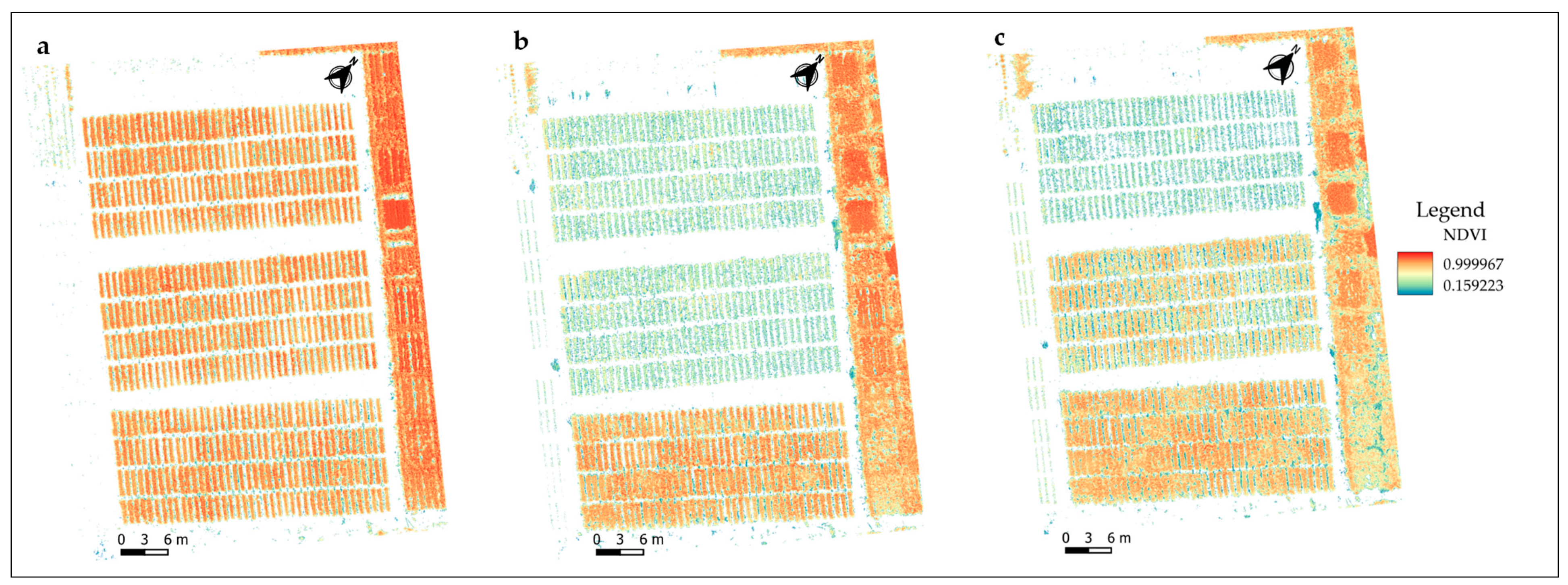 Agronomy 14 01938 g004