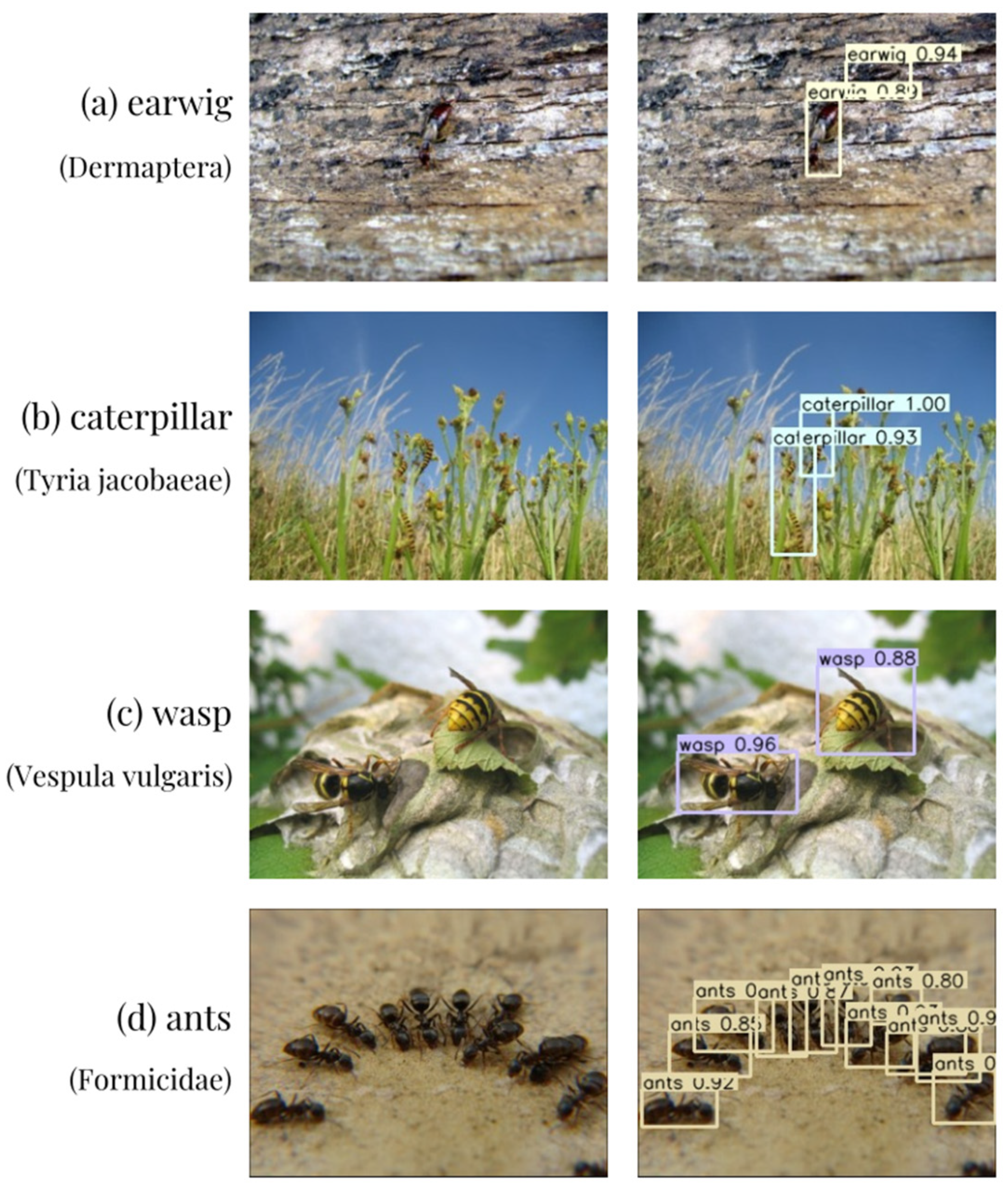 Agronomy 14 01940 g010