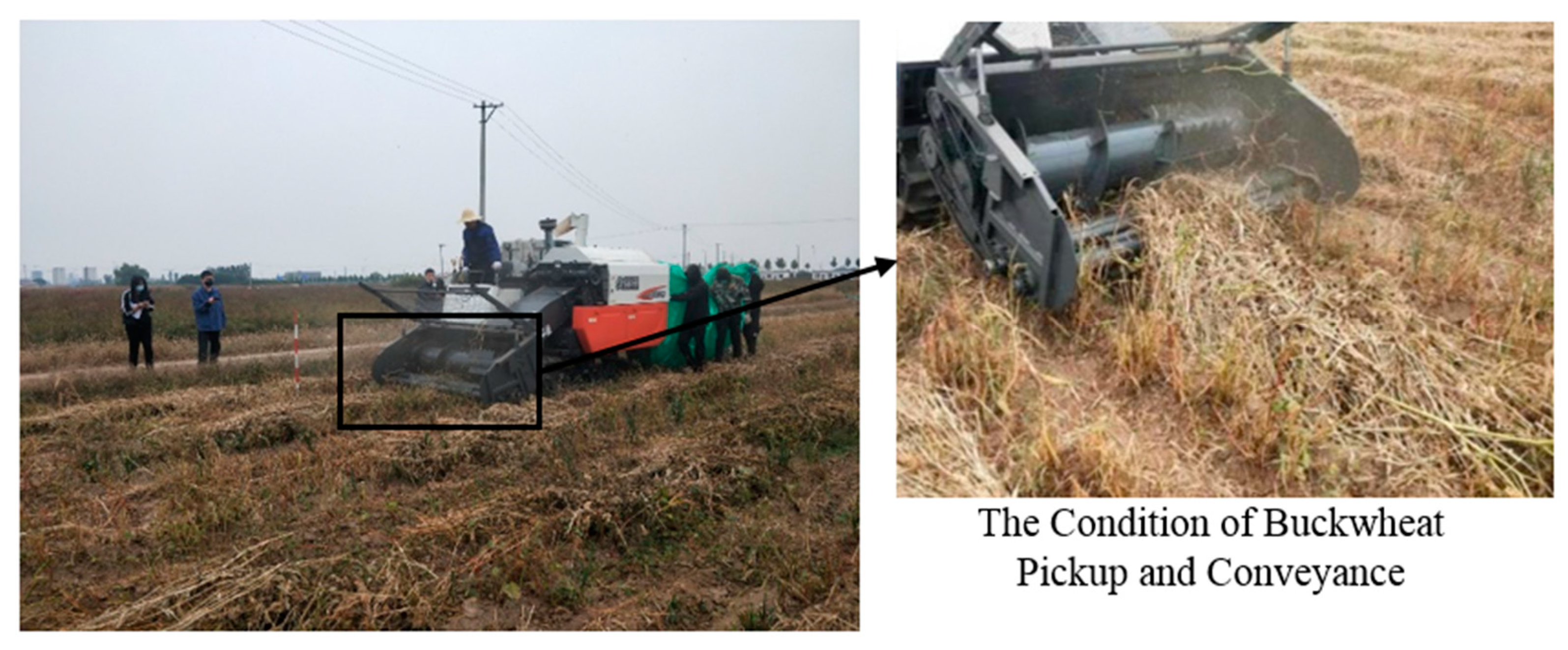 Agronomy 14 01944 g010 Agronomy 14 01944 g010