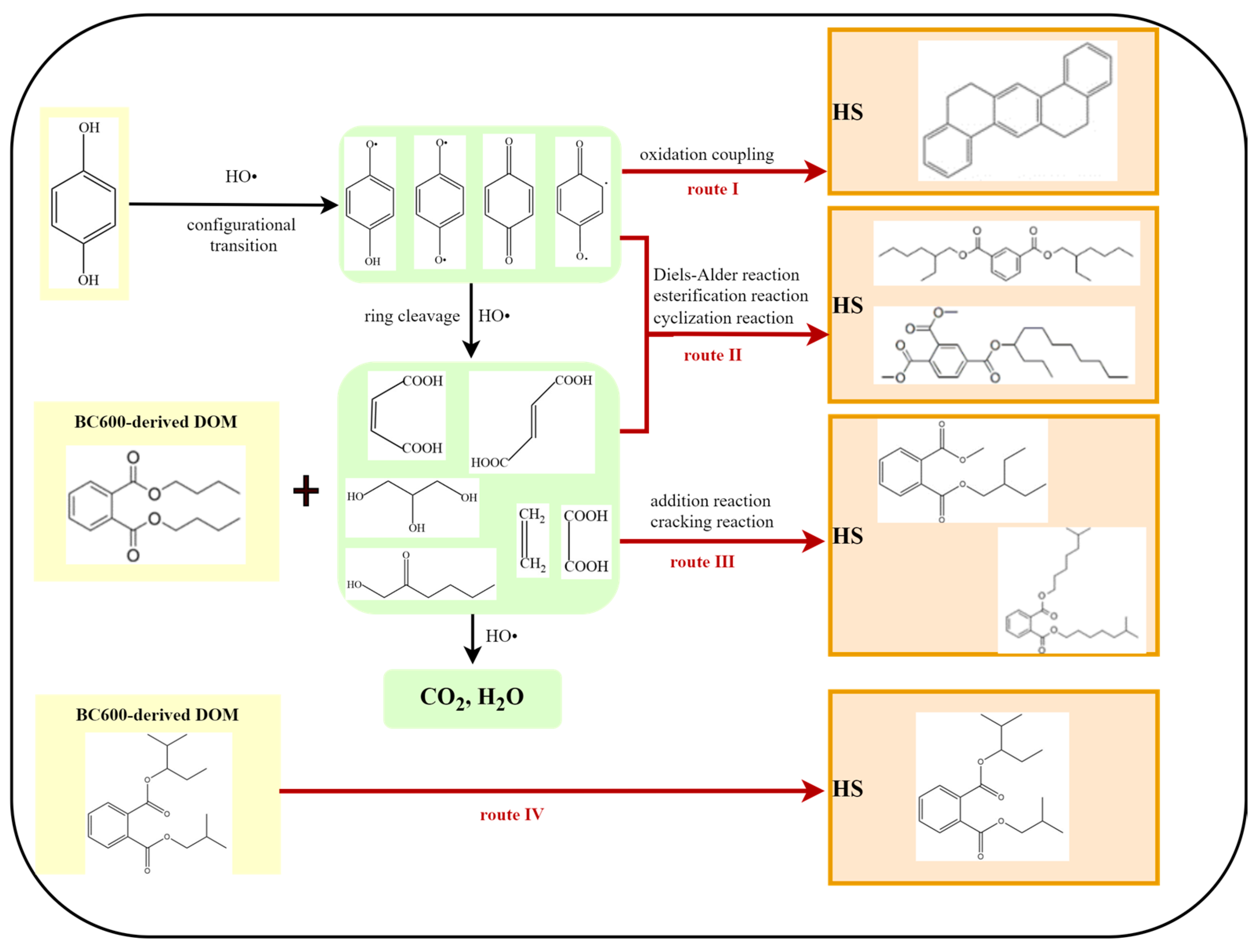 Agronomy 14 01951 g006