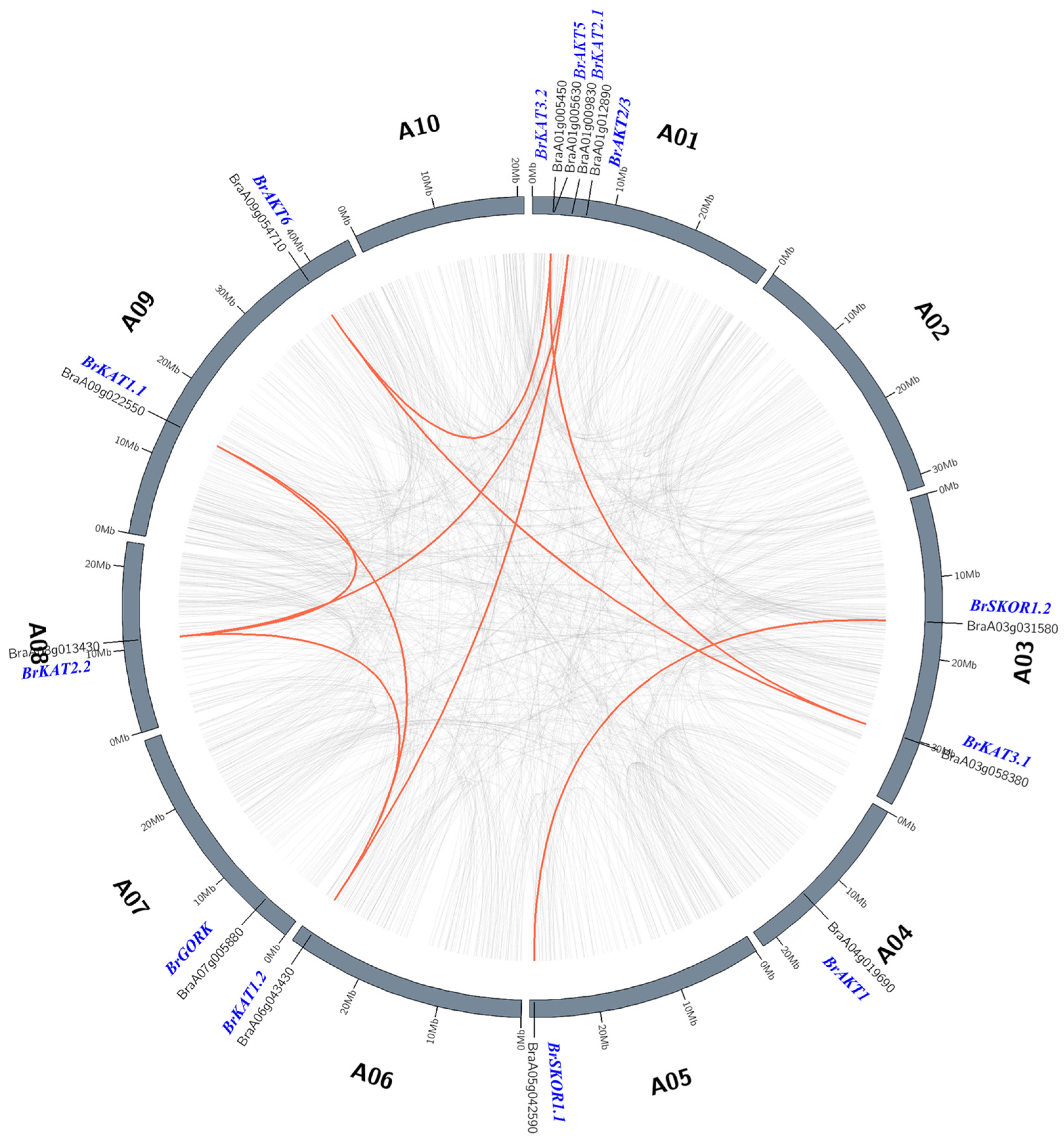 Agronomy 14 01954 g004