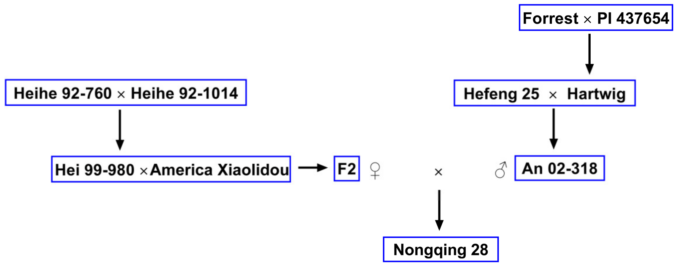 Agronomy 14 01964 g001