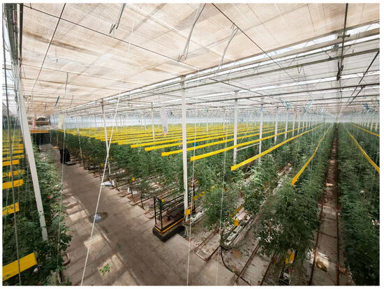 Masaya様 recommend］ 2023 AUTUMN / WINTER COLLECTION ⁡ 【SHINYAKOZUKA