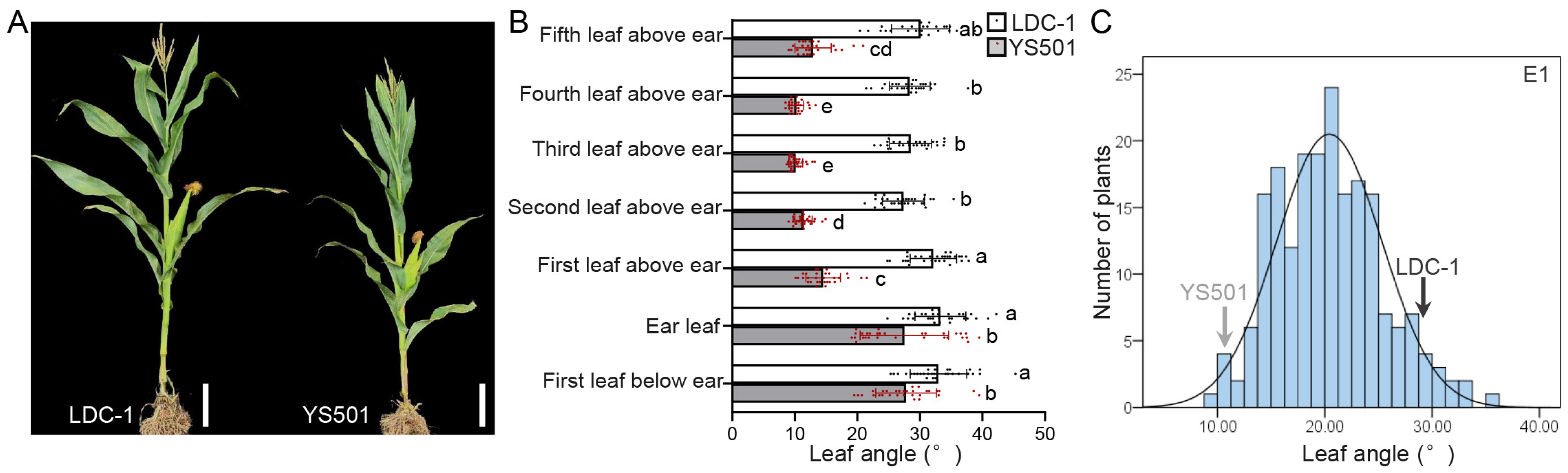 Agronomy 14 01978 g001