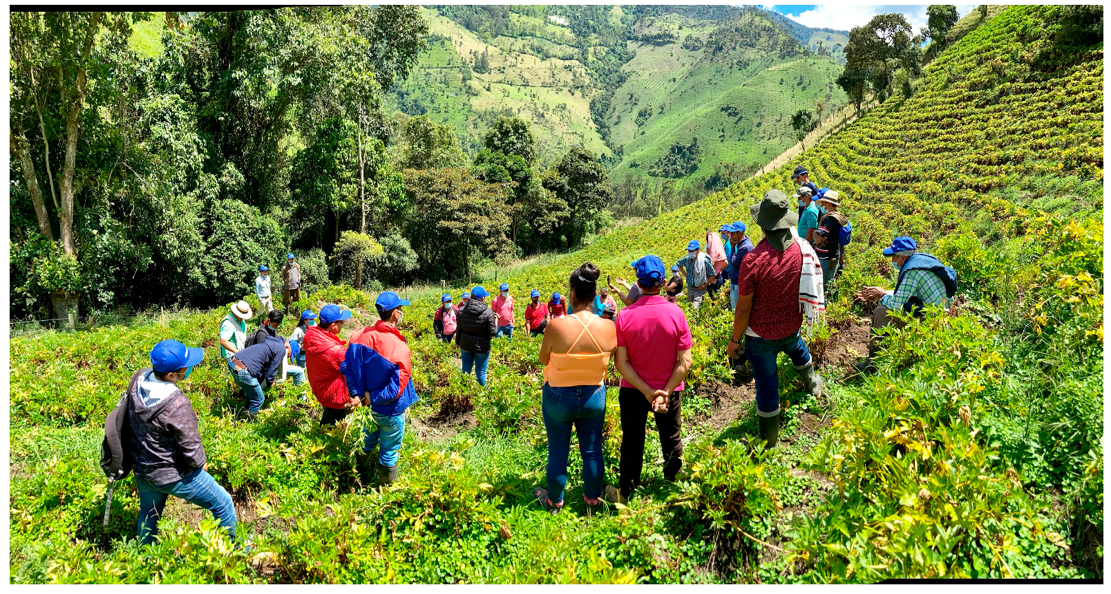 Agronomy 14 01981 g004