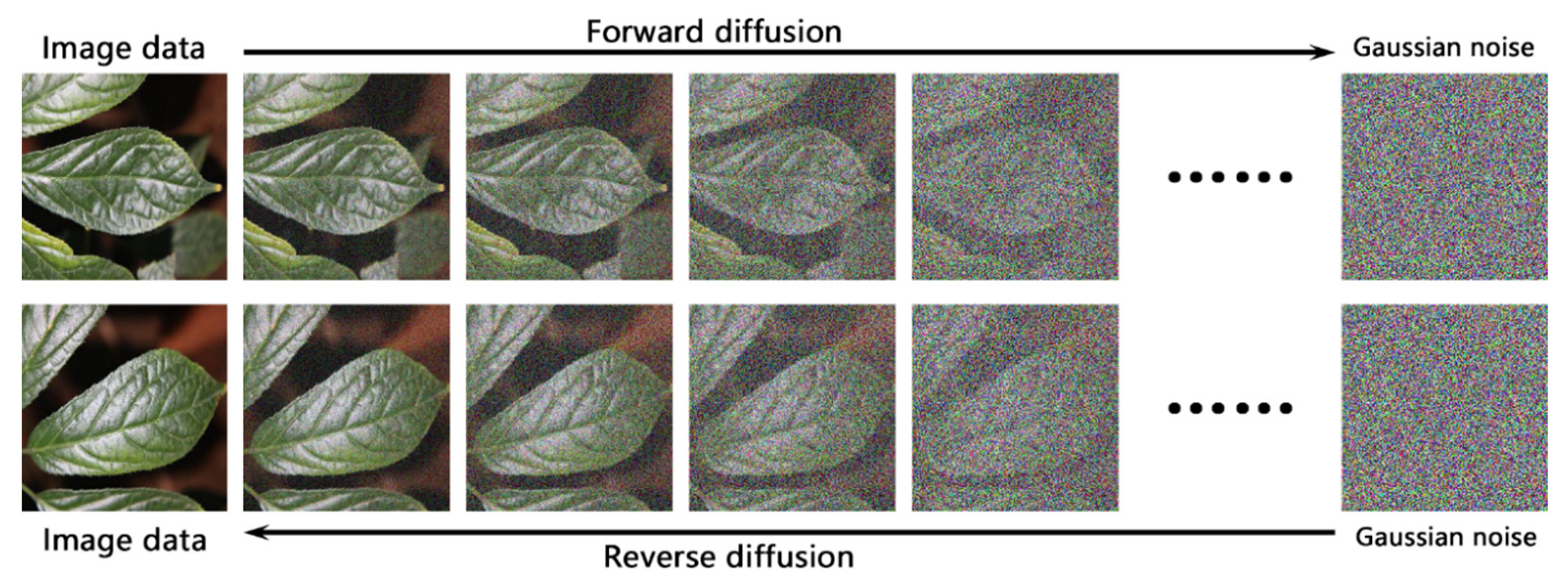 Agronomy 14 01982 g003