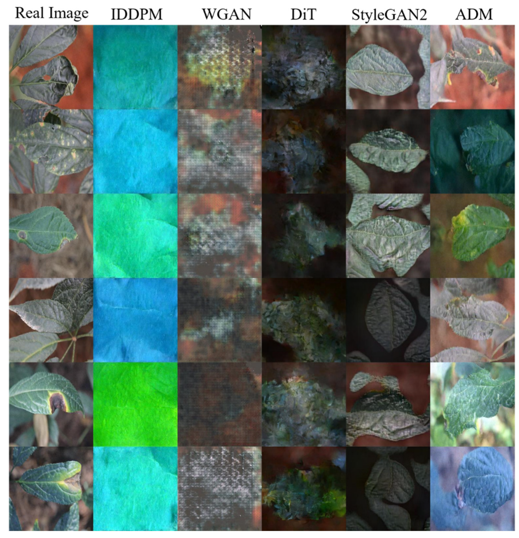 Agronomy 14 01982 g011