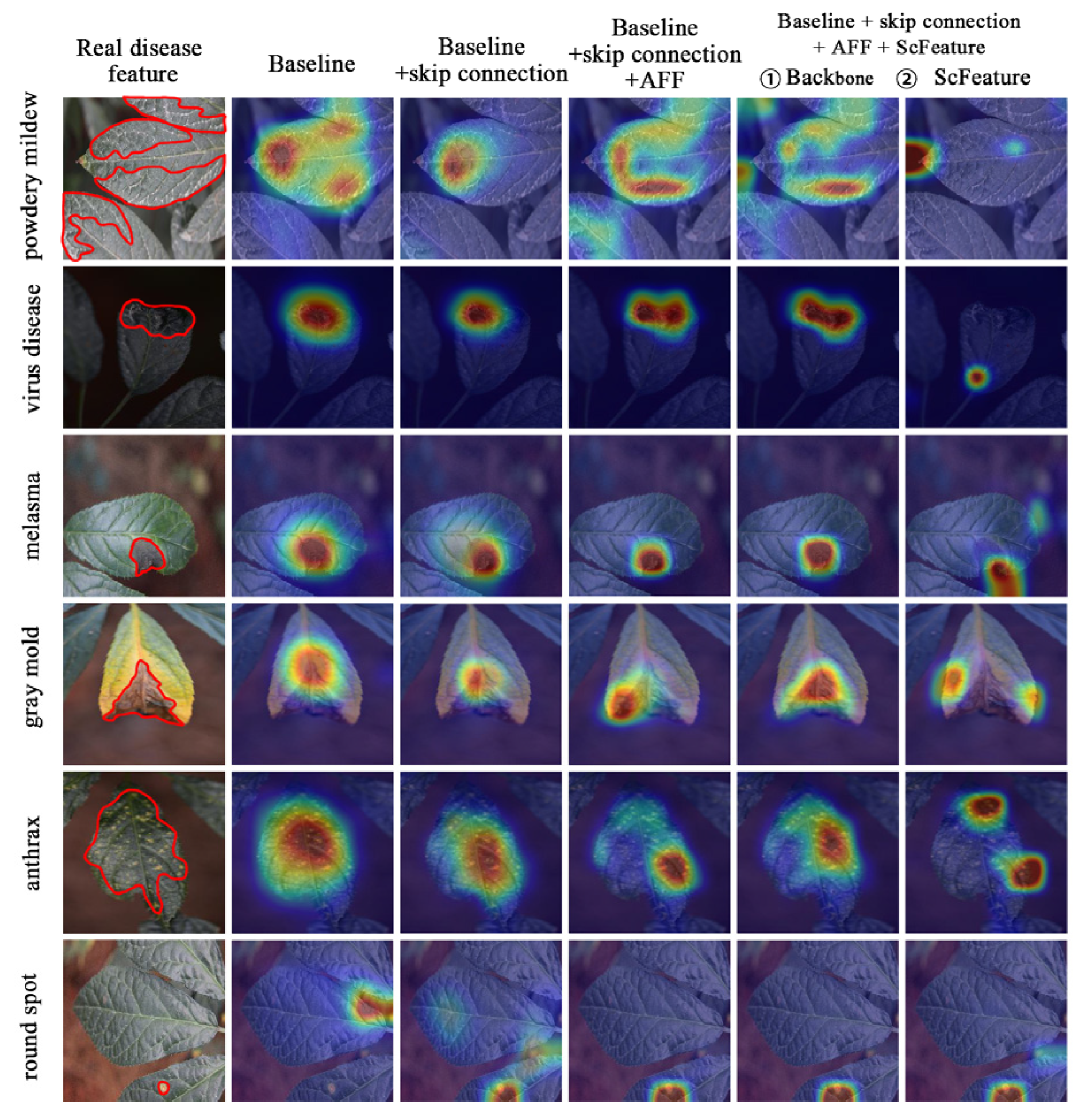 Agronomy 14 01982 g016