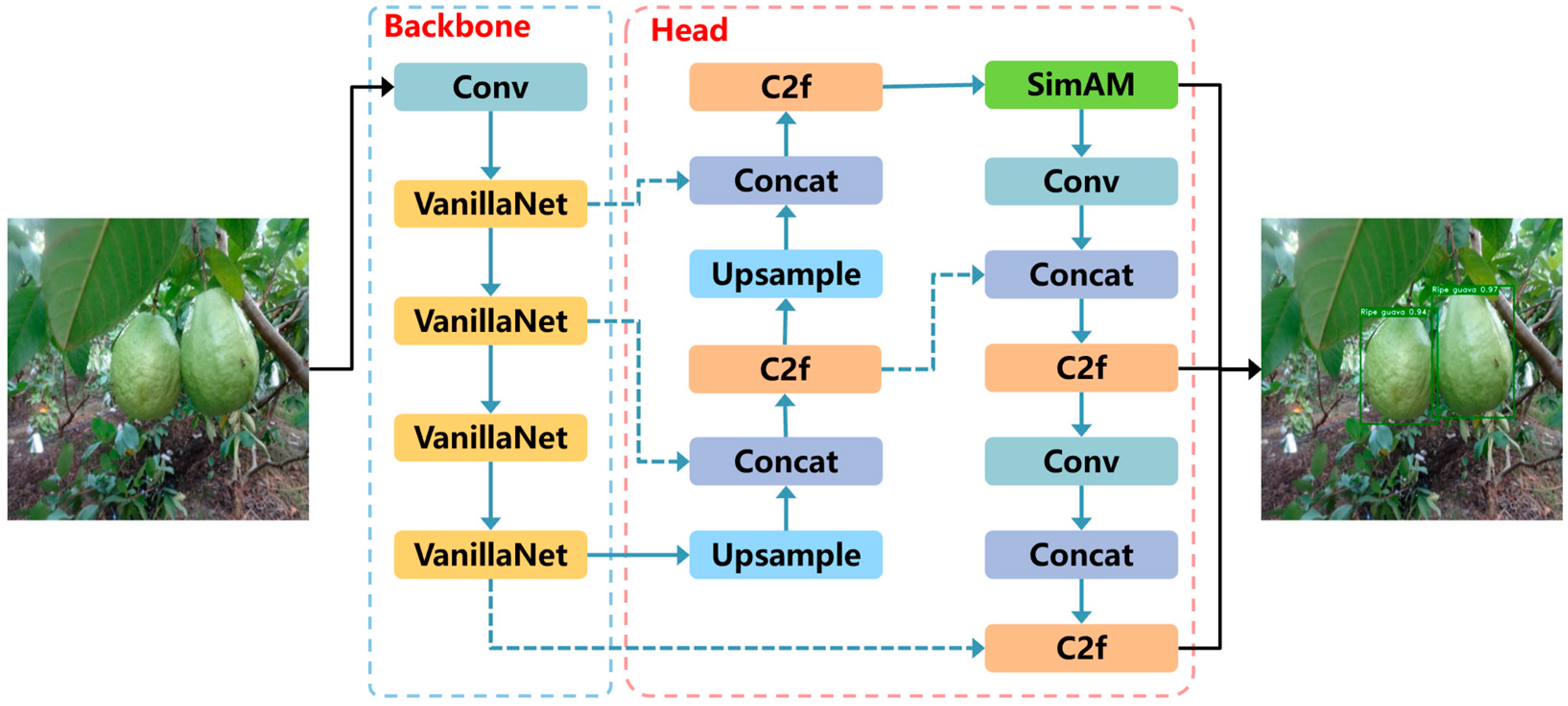 Agronomy 14 01988 g007