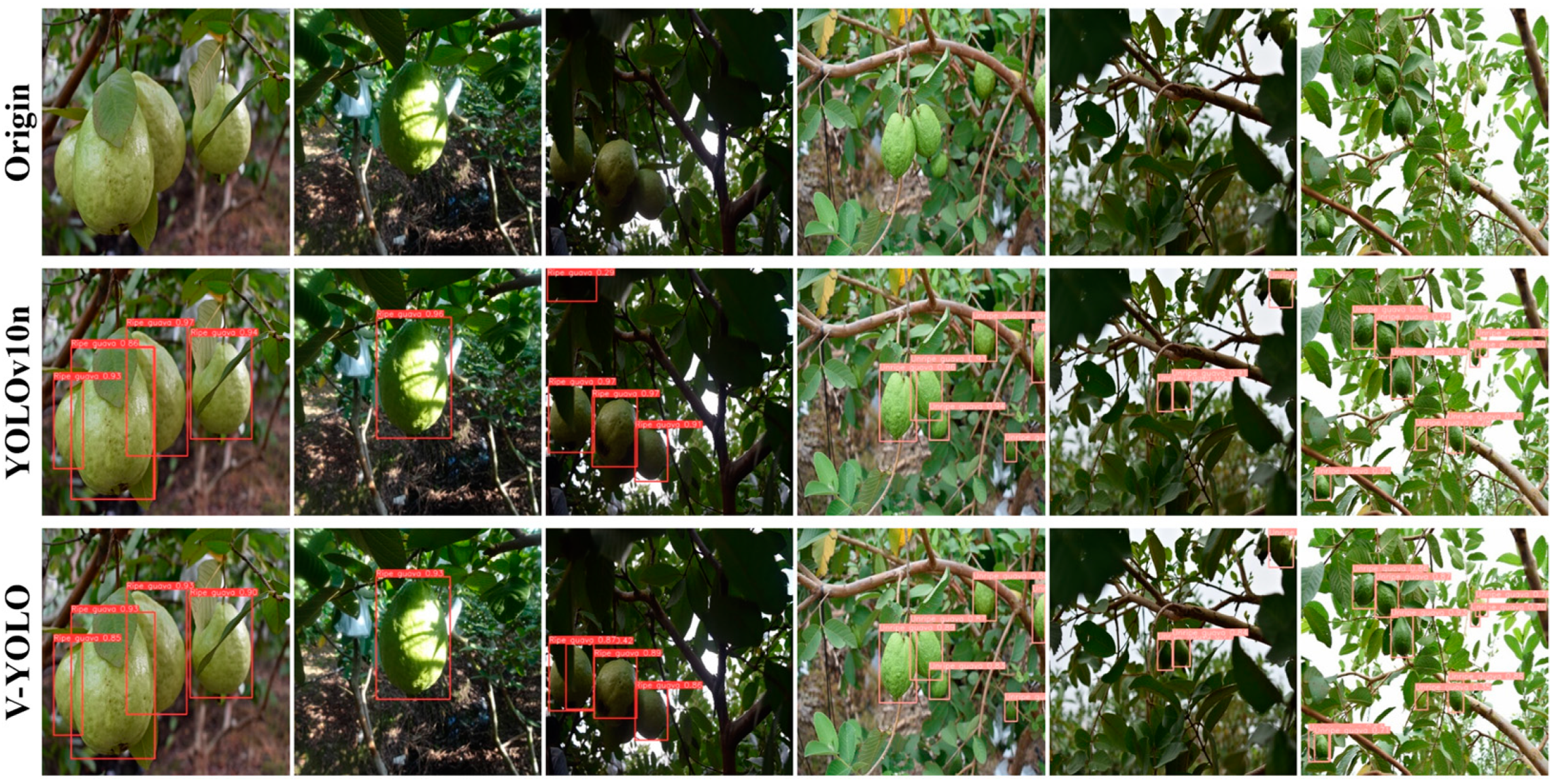 Agronomy 14 01988 g010