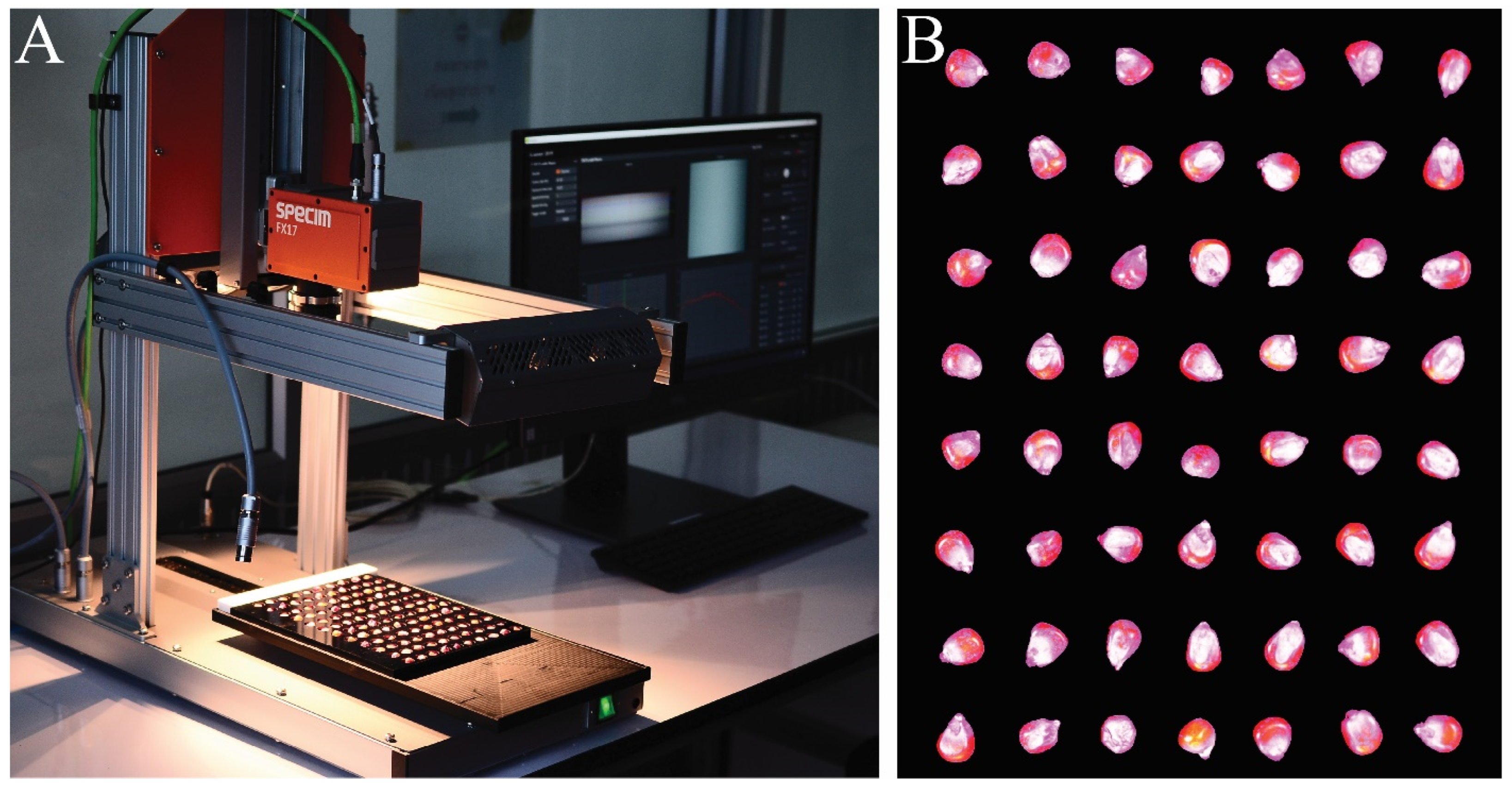 Agronomy 14 01991 g001