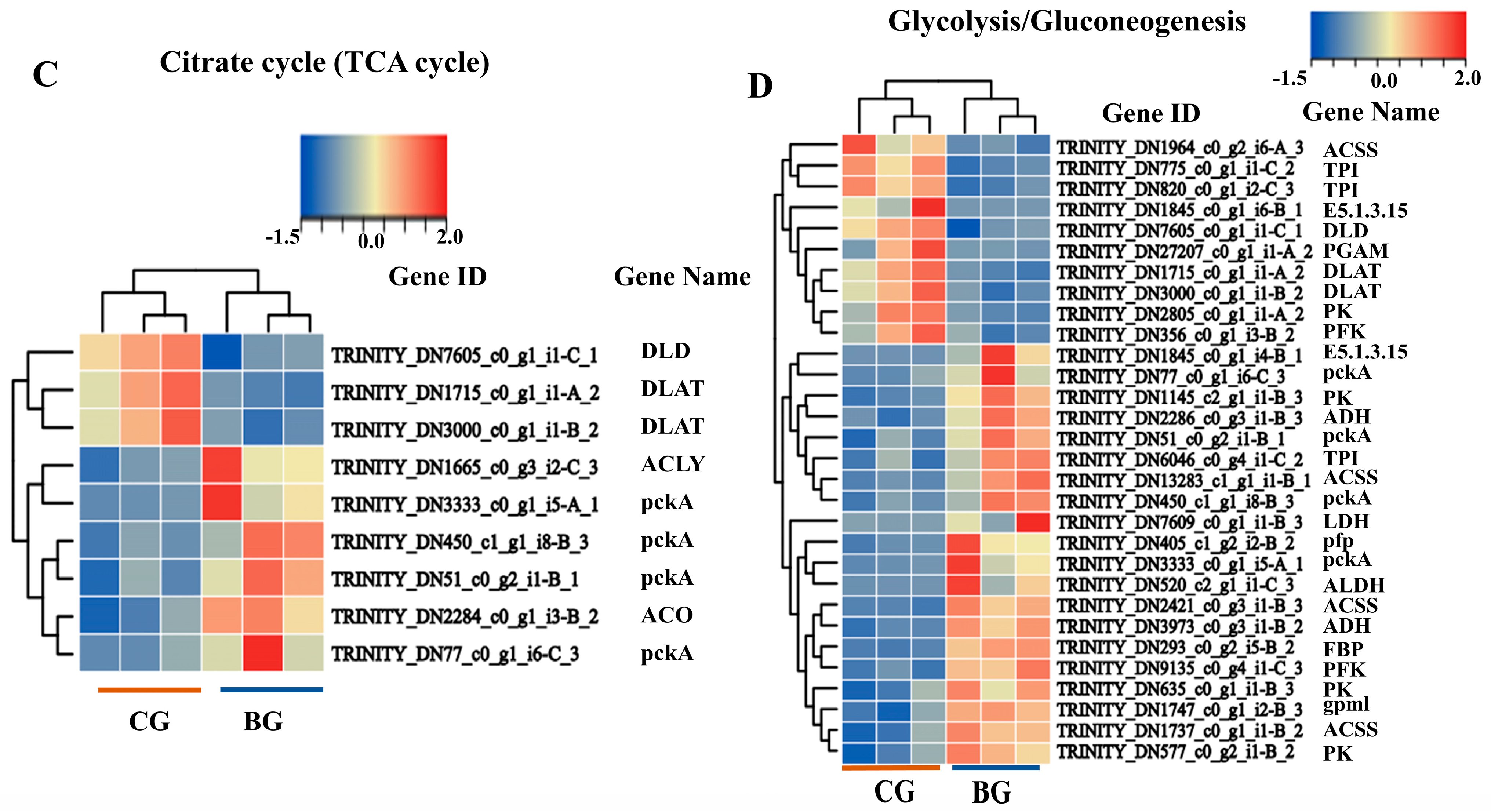 Agronomy 14 01996 g002b