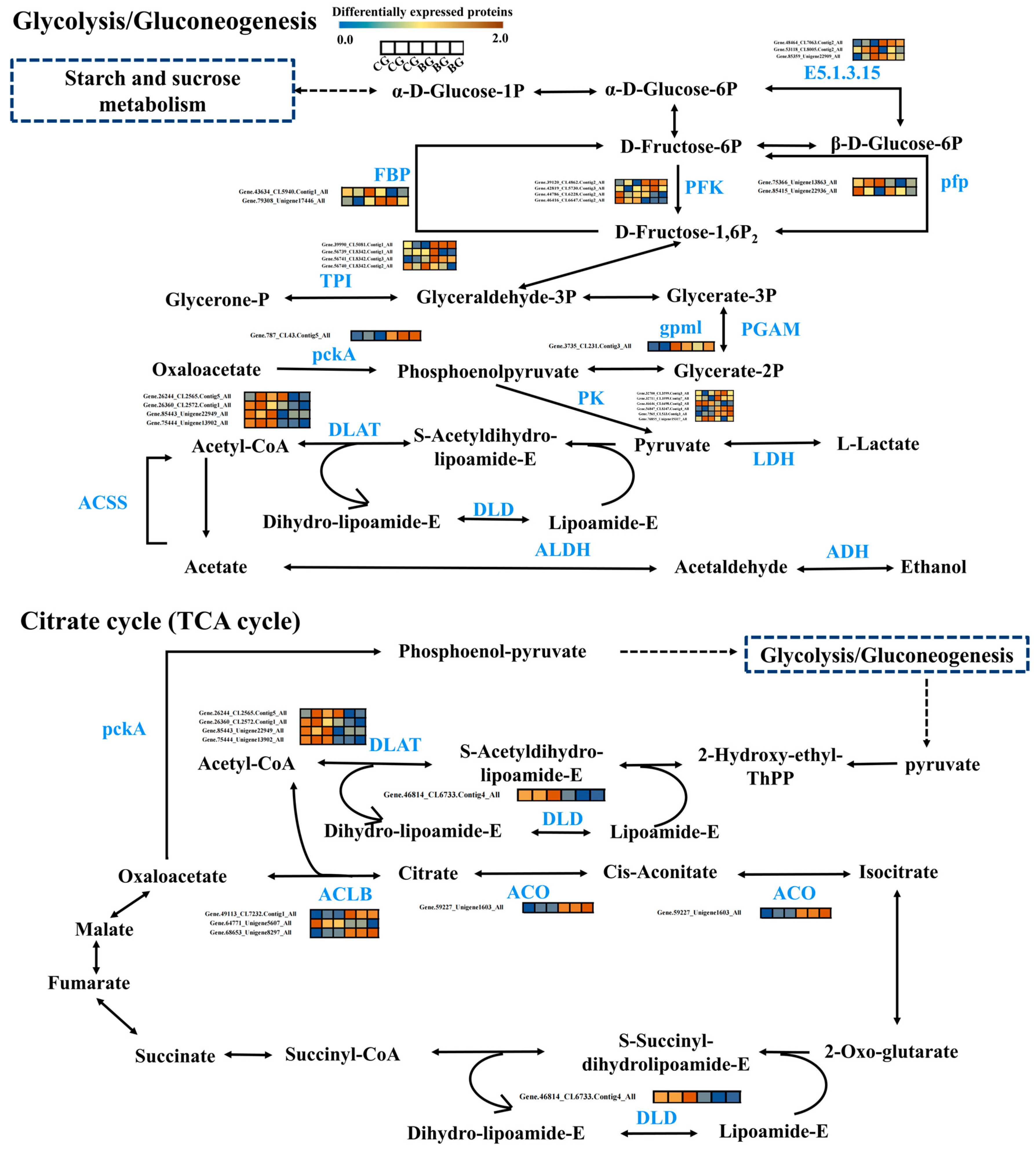 Agronomy 14 01996 g004