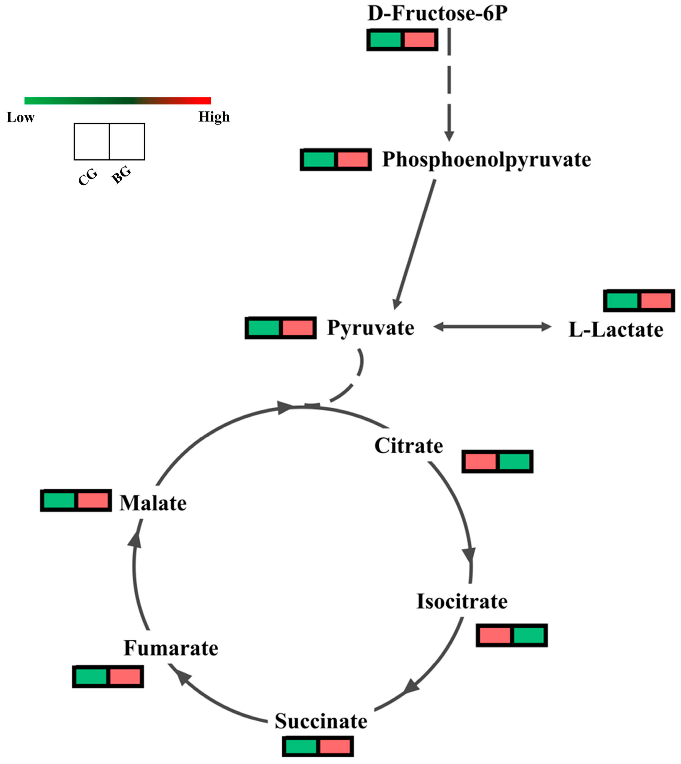 Agronomy 14 01996 g005