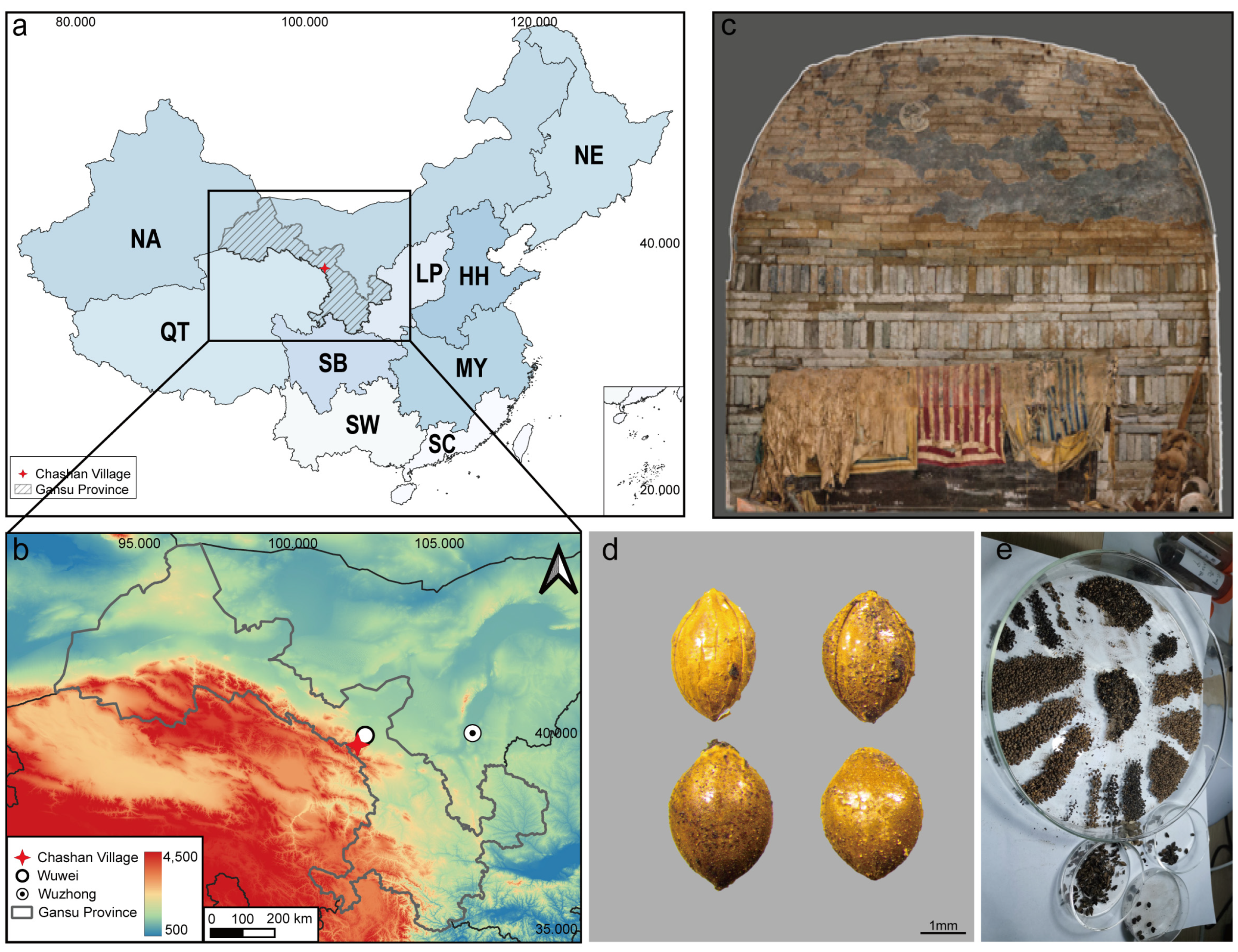 Agronomy 14 02004 g001