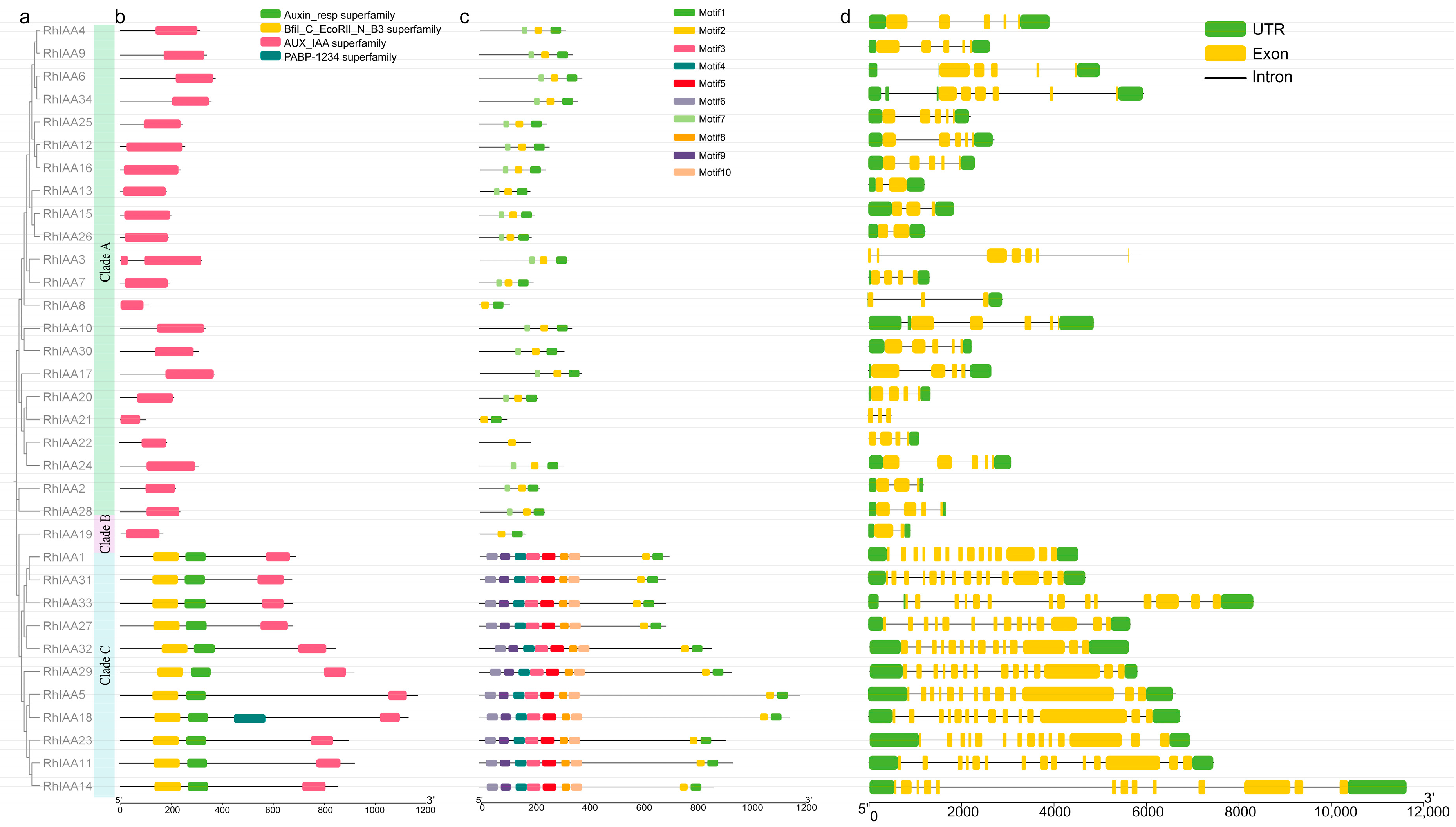 Agronomy 14 02005 g002