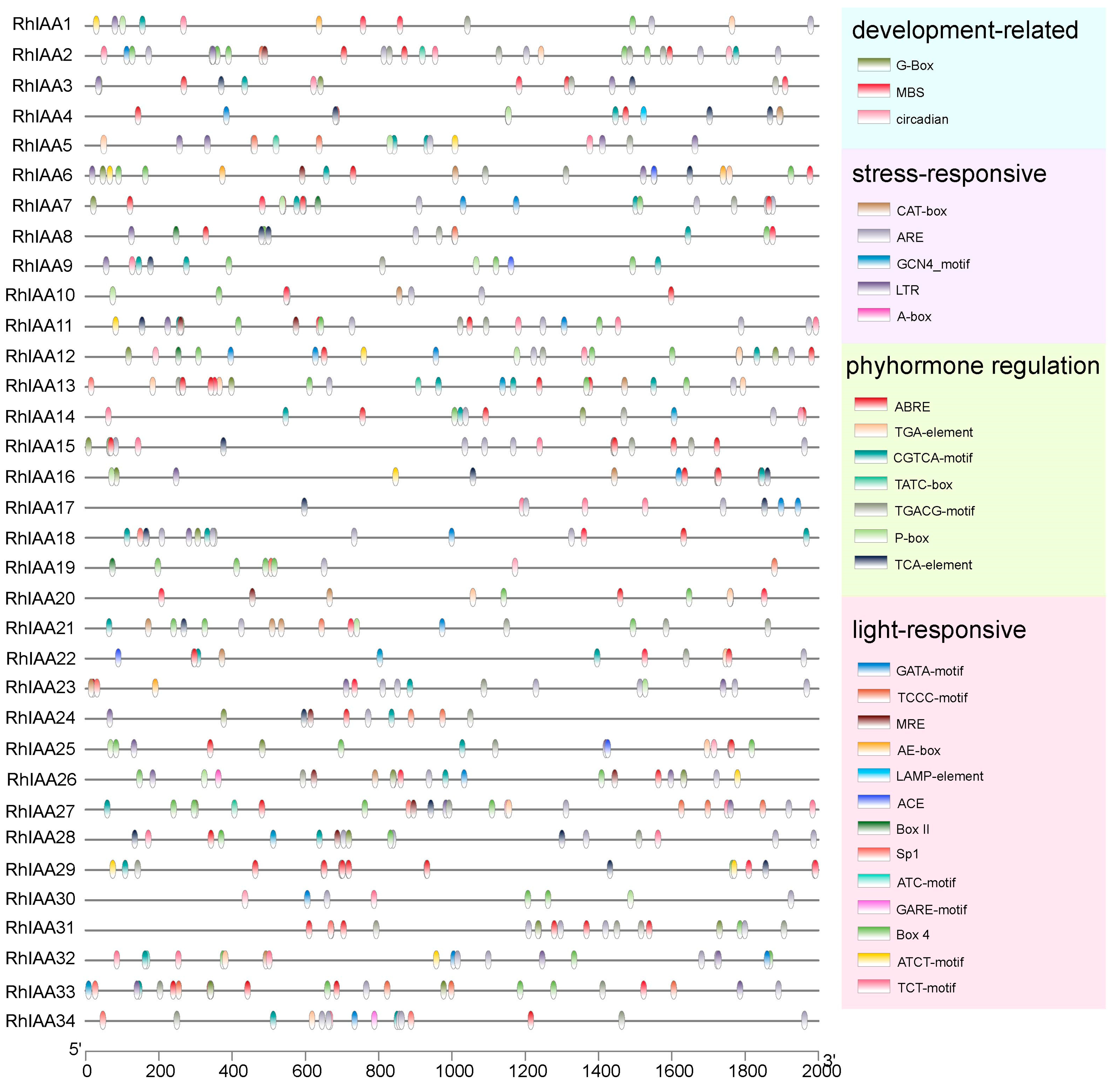 Agronomy 14 02005 g004