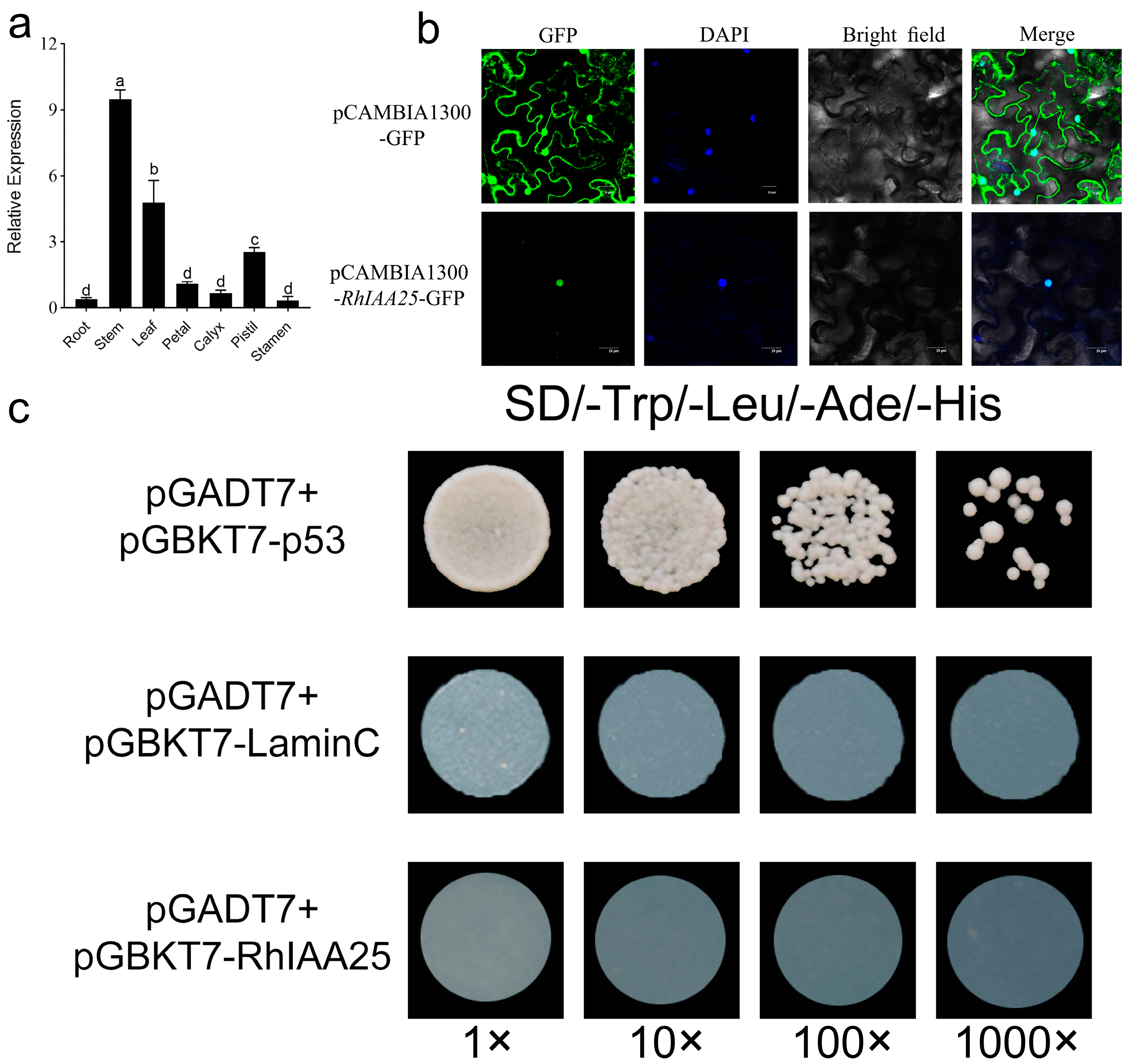 Agronomy 14 02005 g006