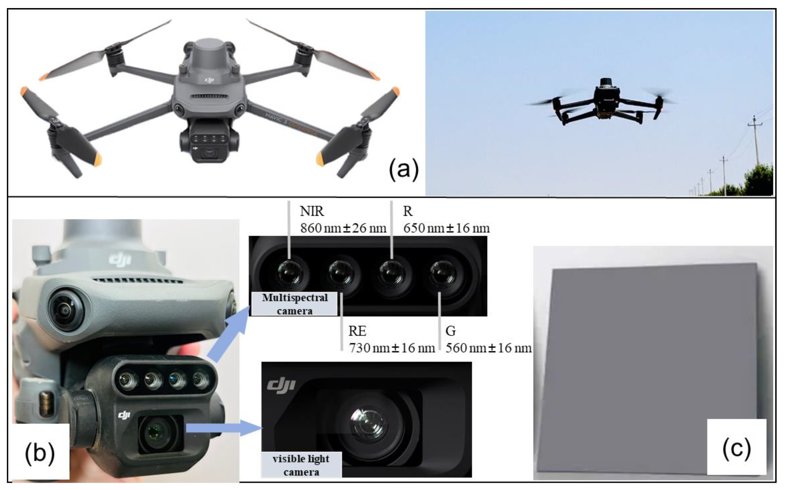 Agronomy 14 02008 g003