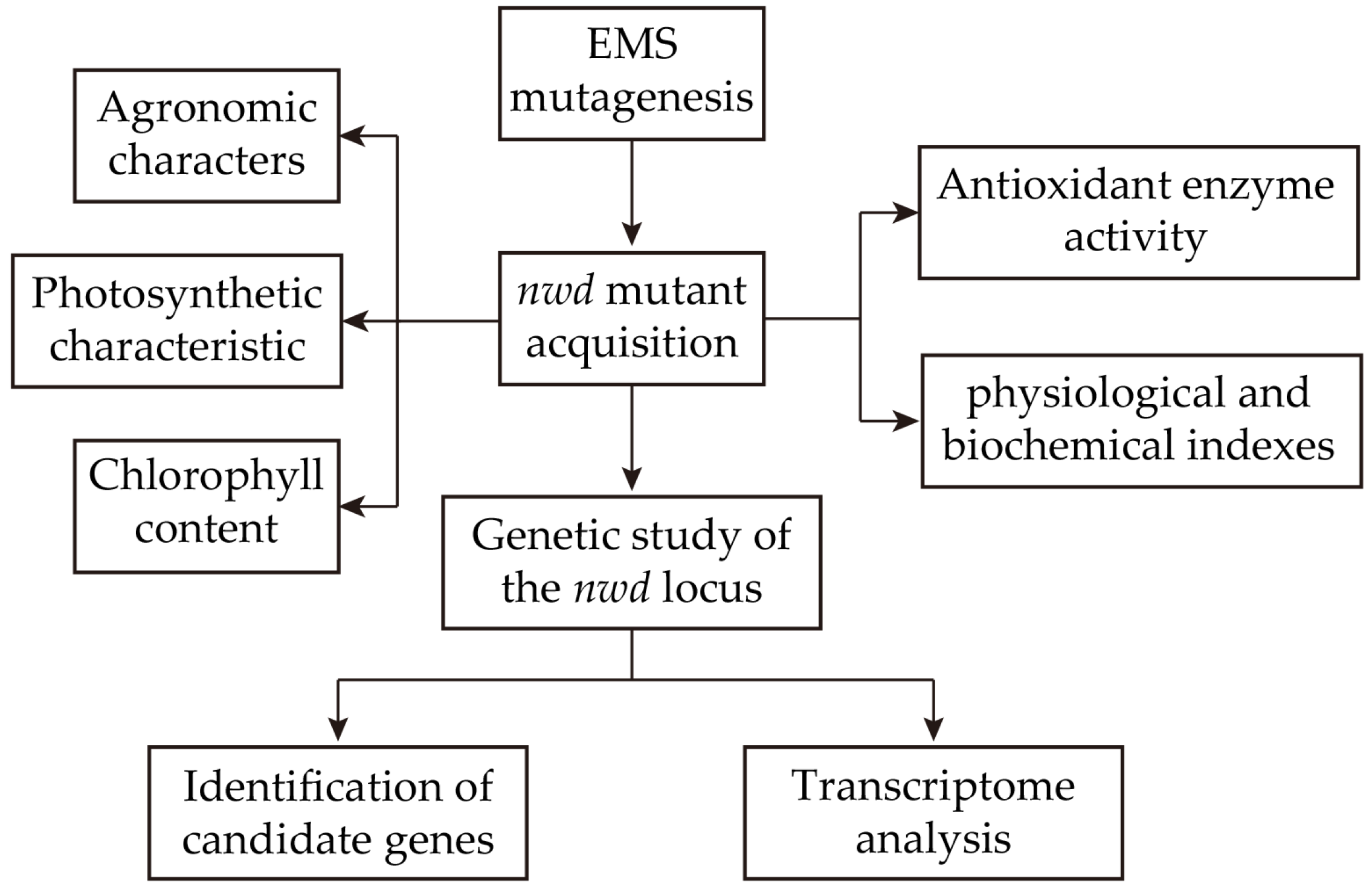 Agronomy 14 02019 g001