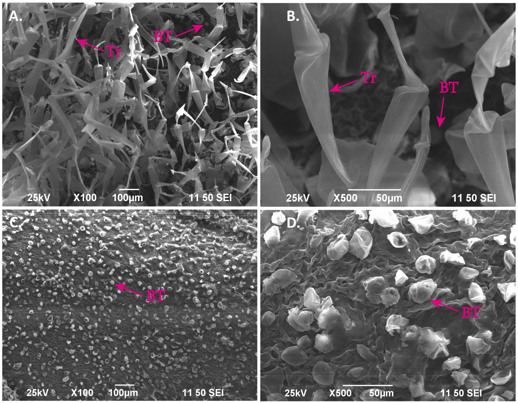 Agronomy 14 02019 g003