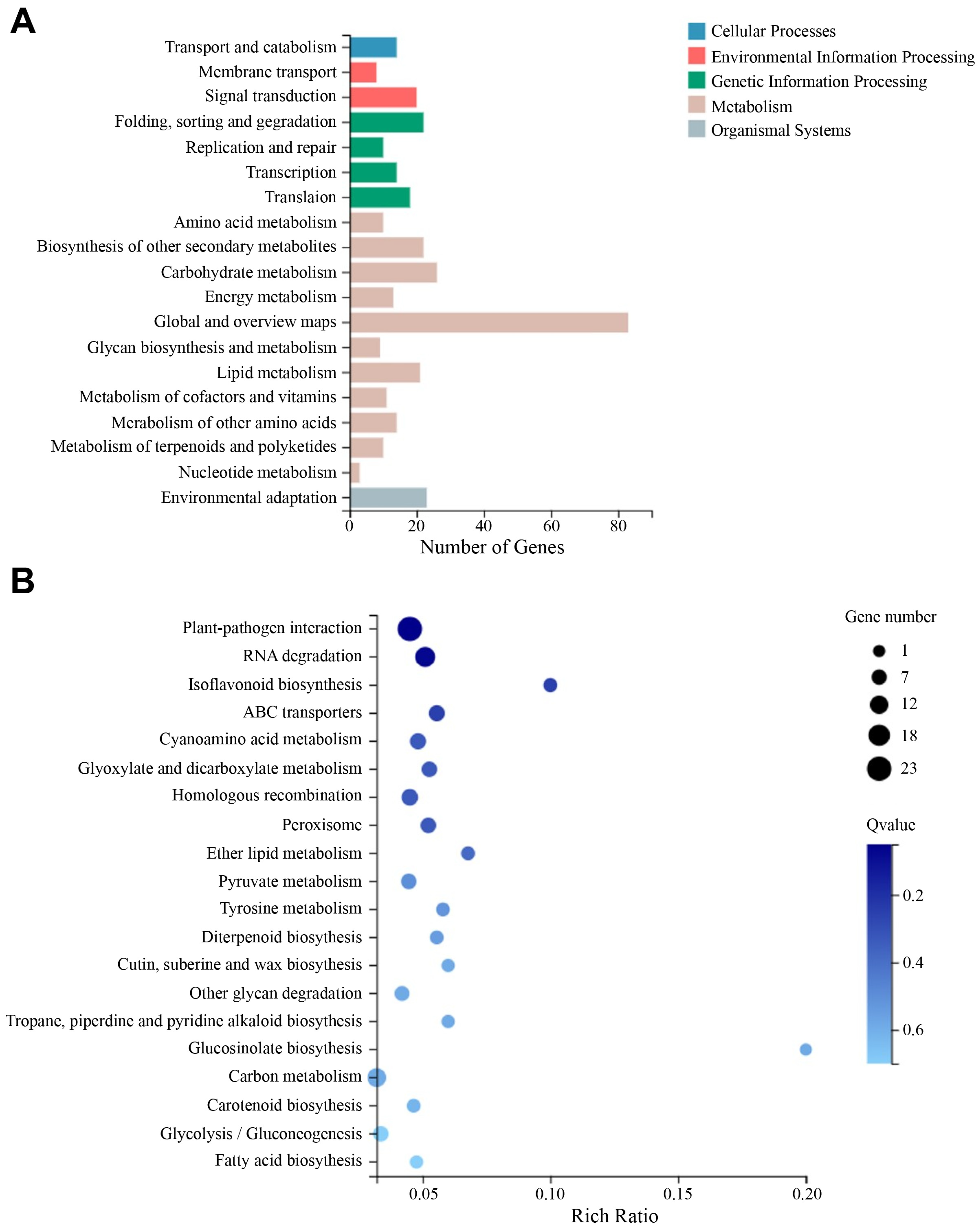Agronomy 14 02019 g010