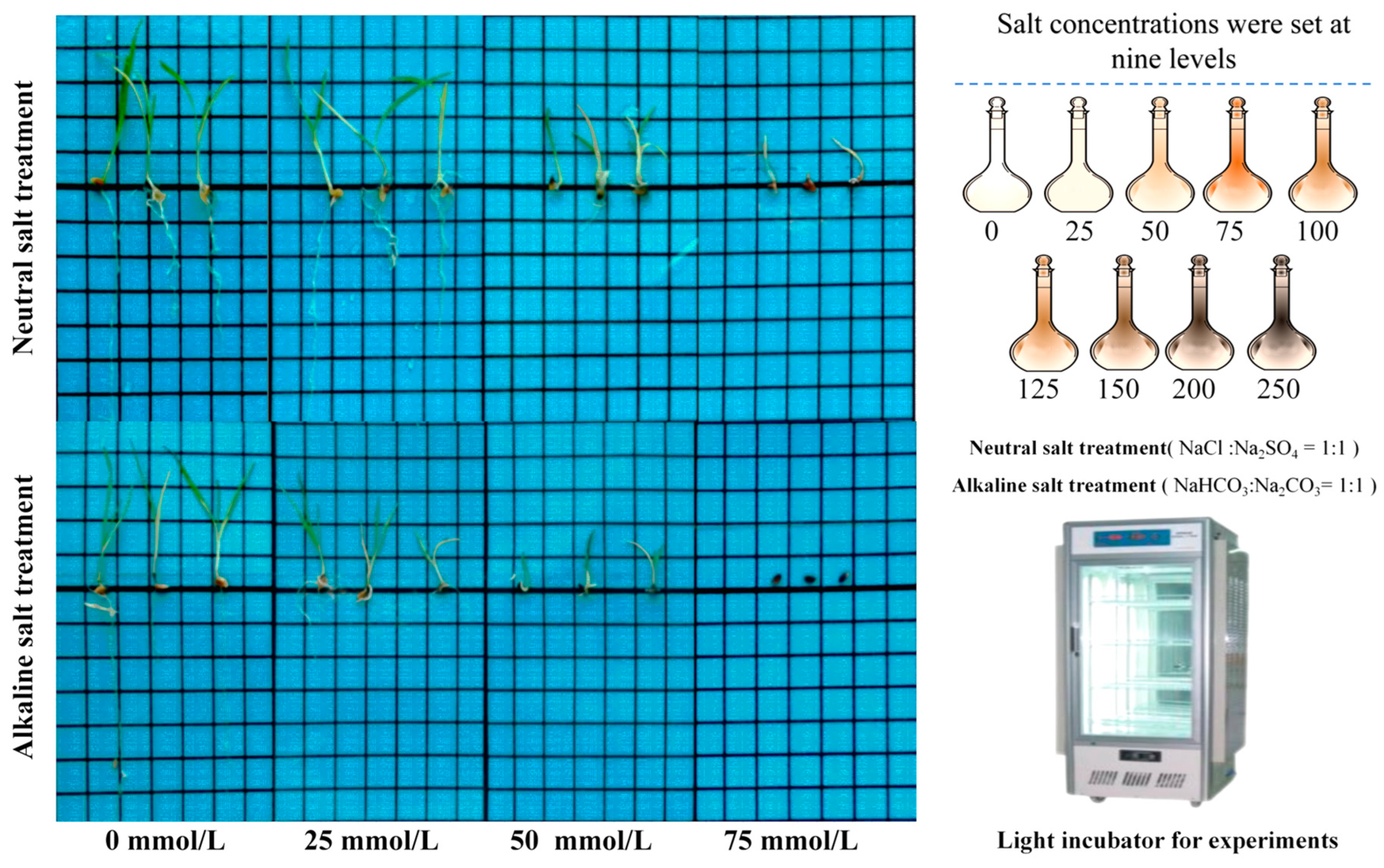 Agronomy 14 02023 g001