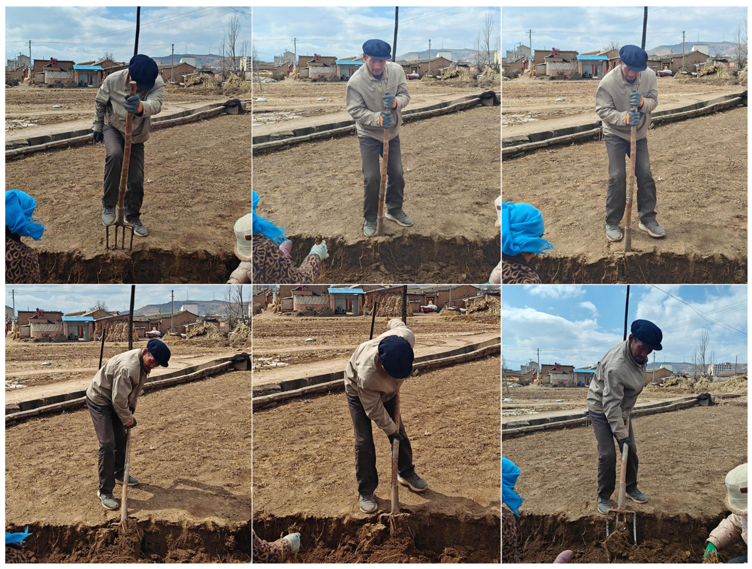 Agronomy 14 02024 g003