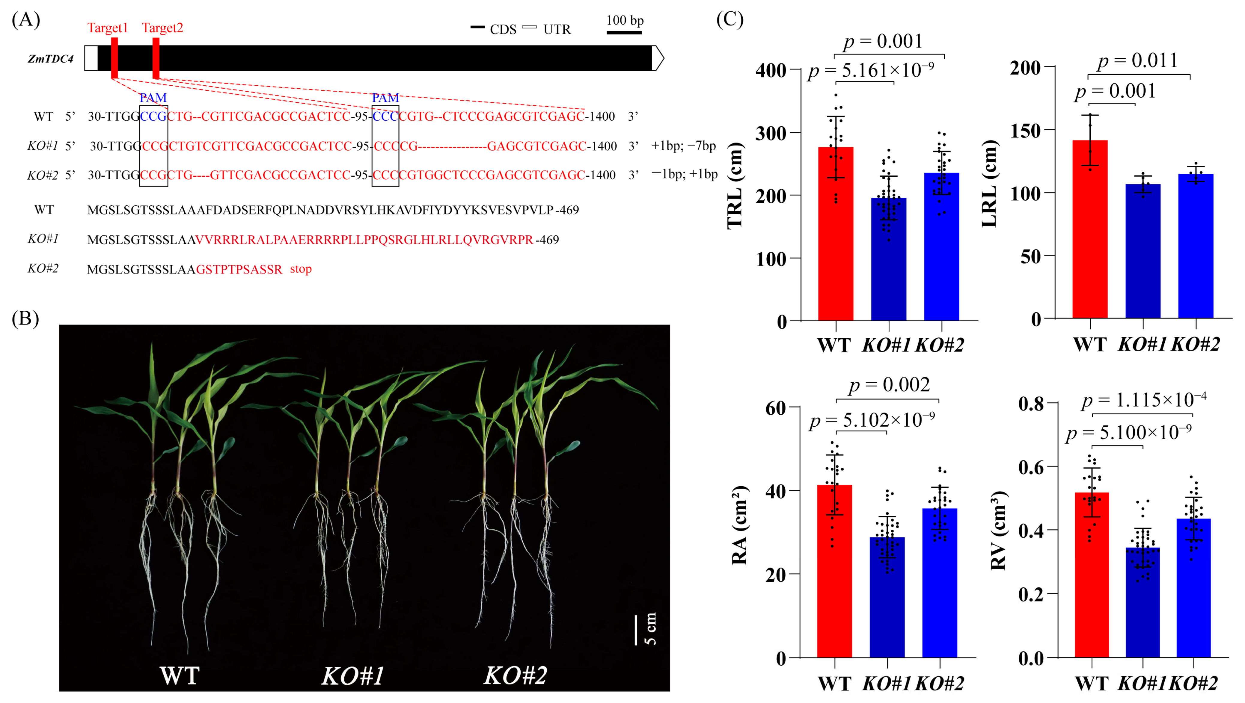 Agronomy 14 02031 g004