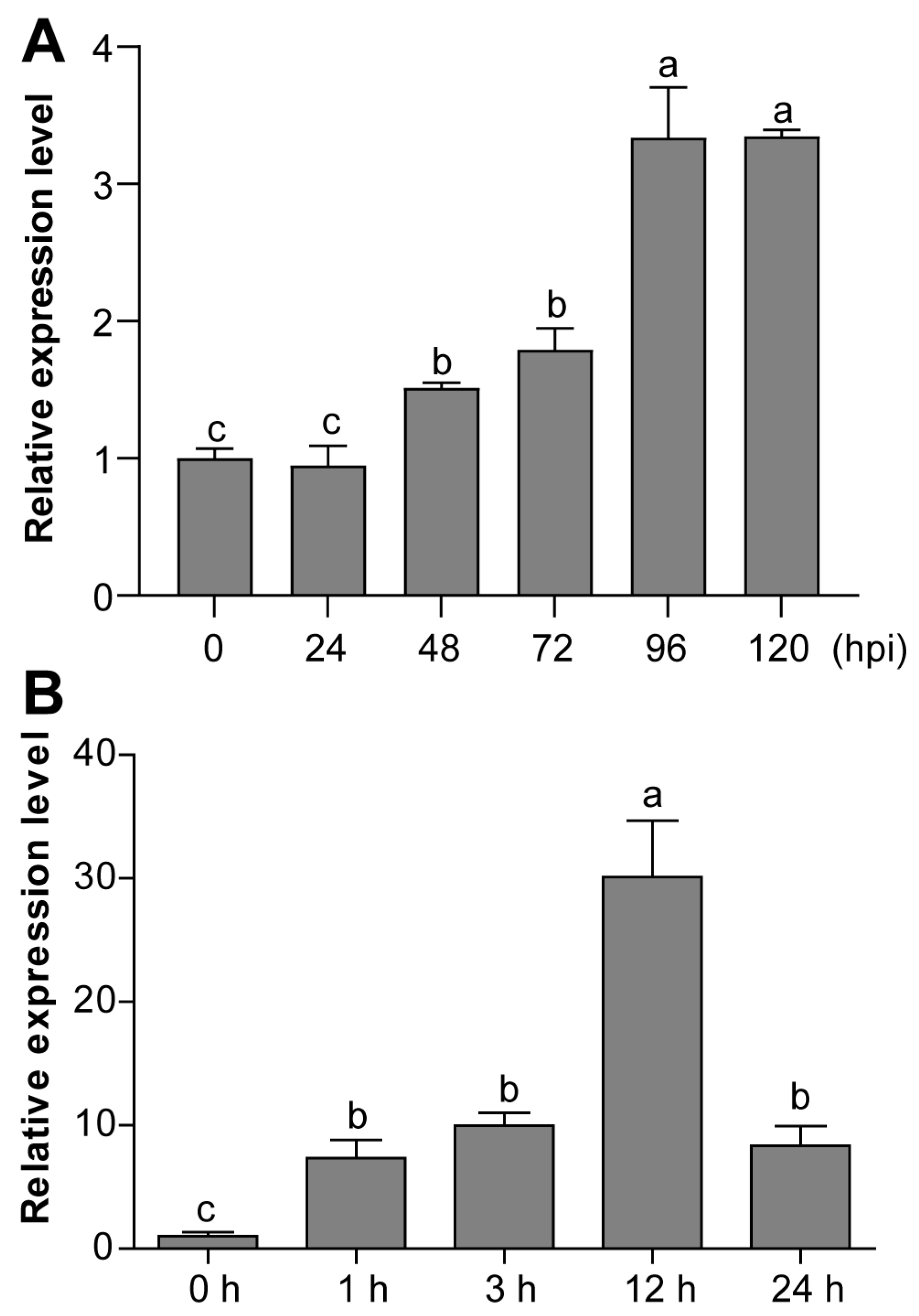 Agronomy 14 02035 g004