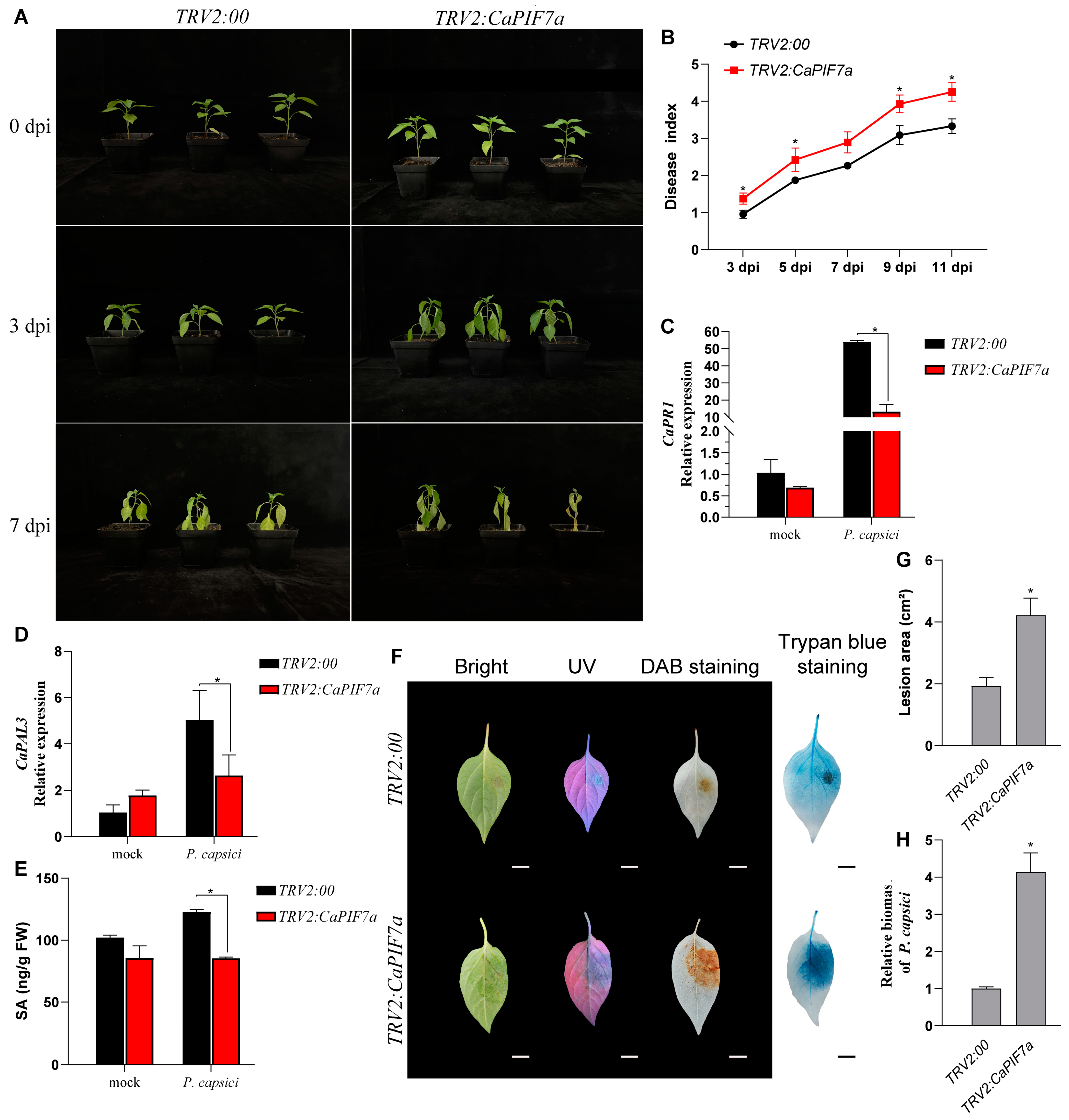 Agronomy 14 02035 g006
