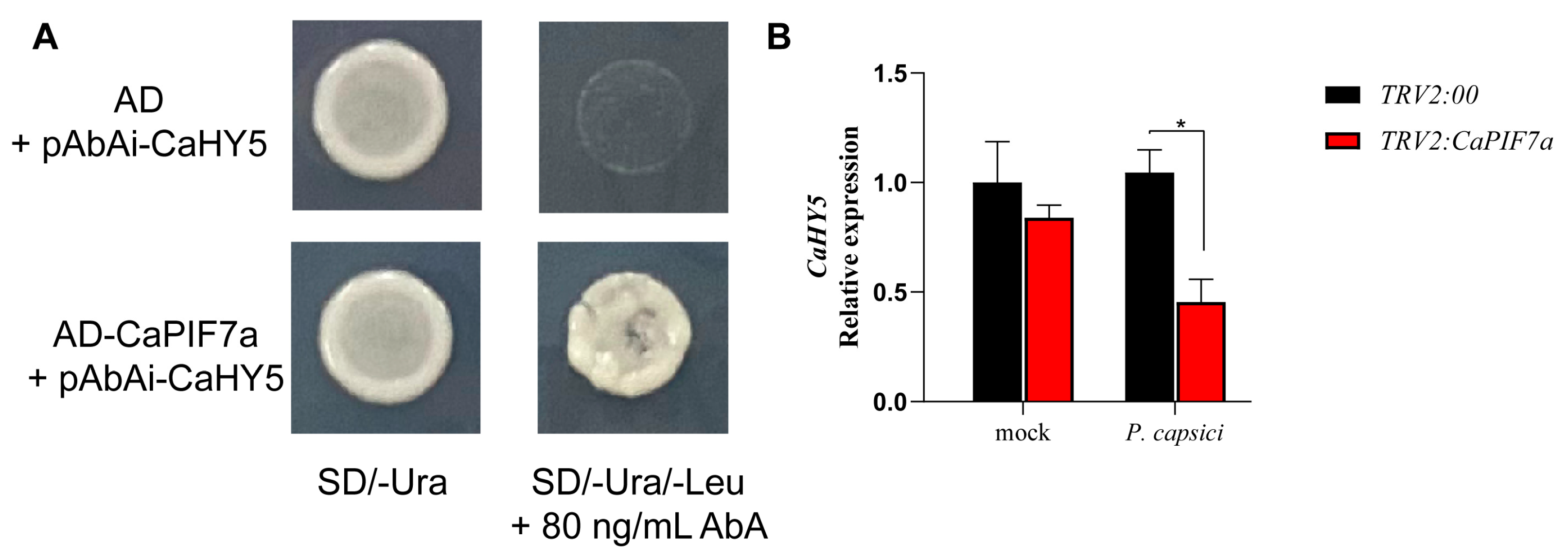 Agronomy 14 02035 g008