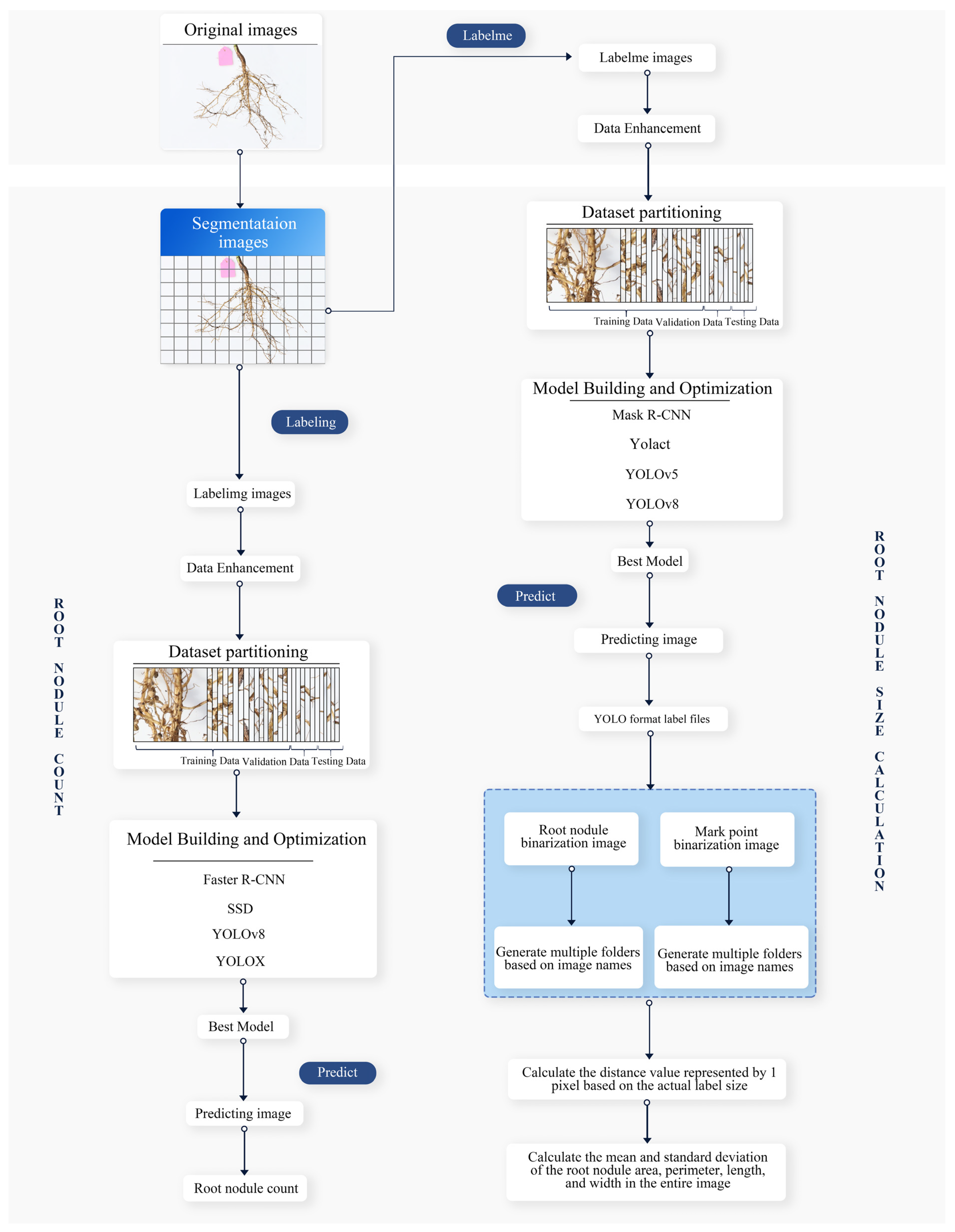 Agronomy 14 02041 g001