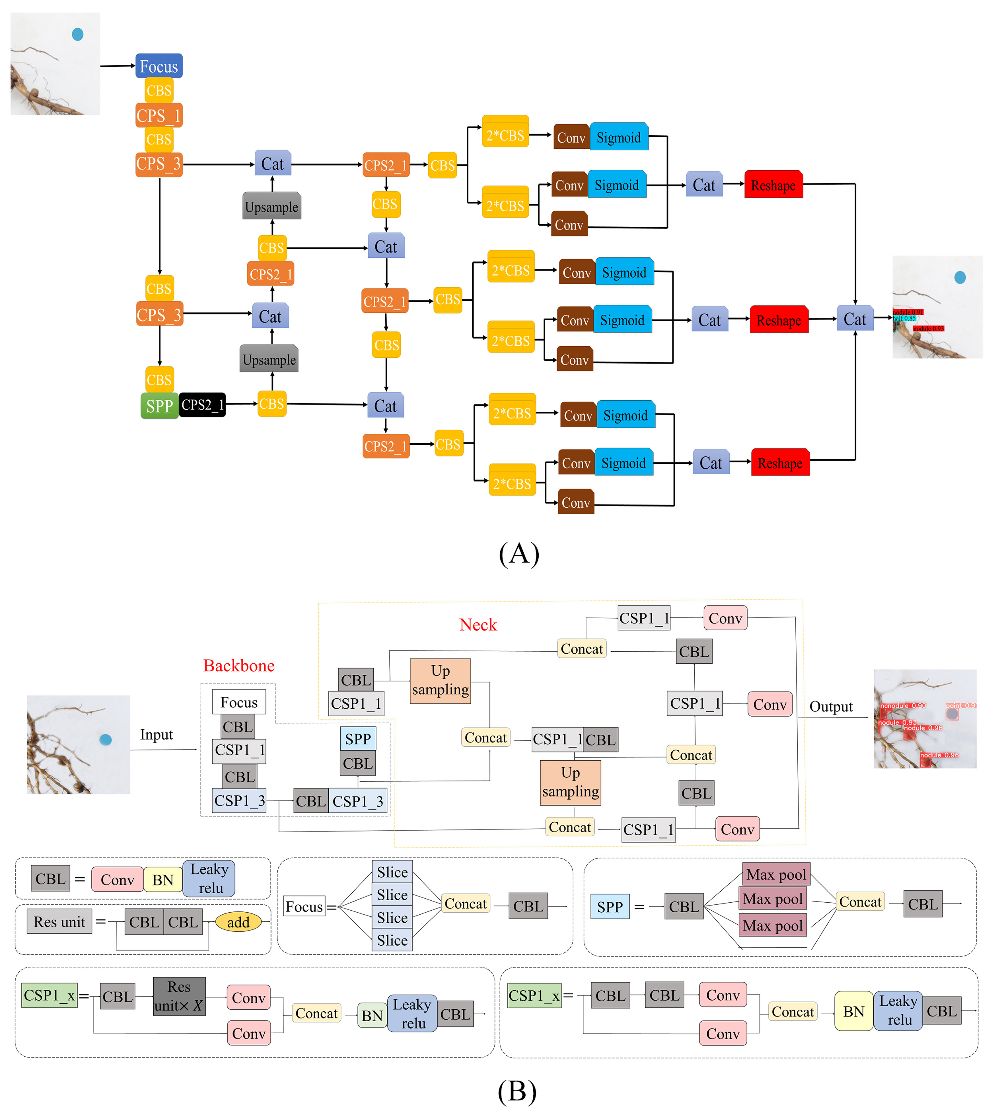 Agronomy 14 02041 g002