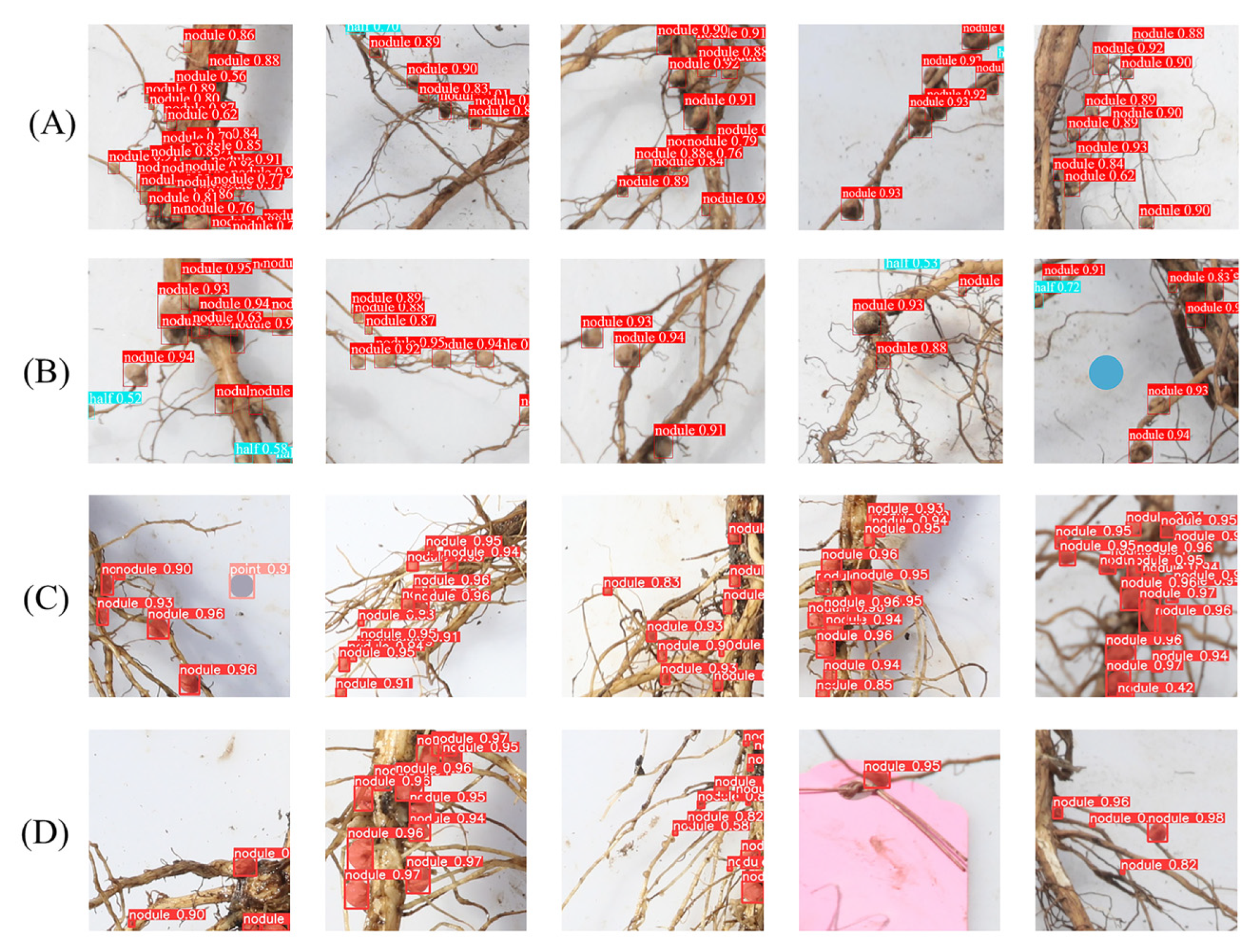 Agronomy 14 02041 g007