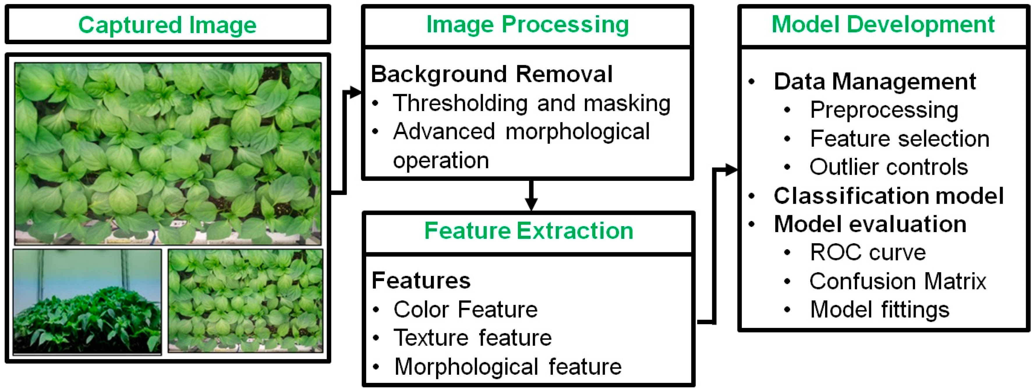 Agronomy 14 02043 g009